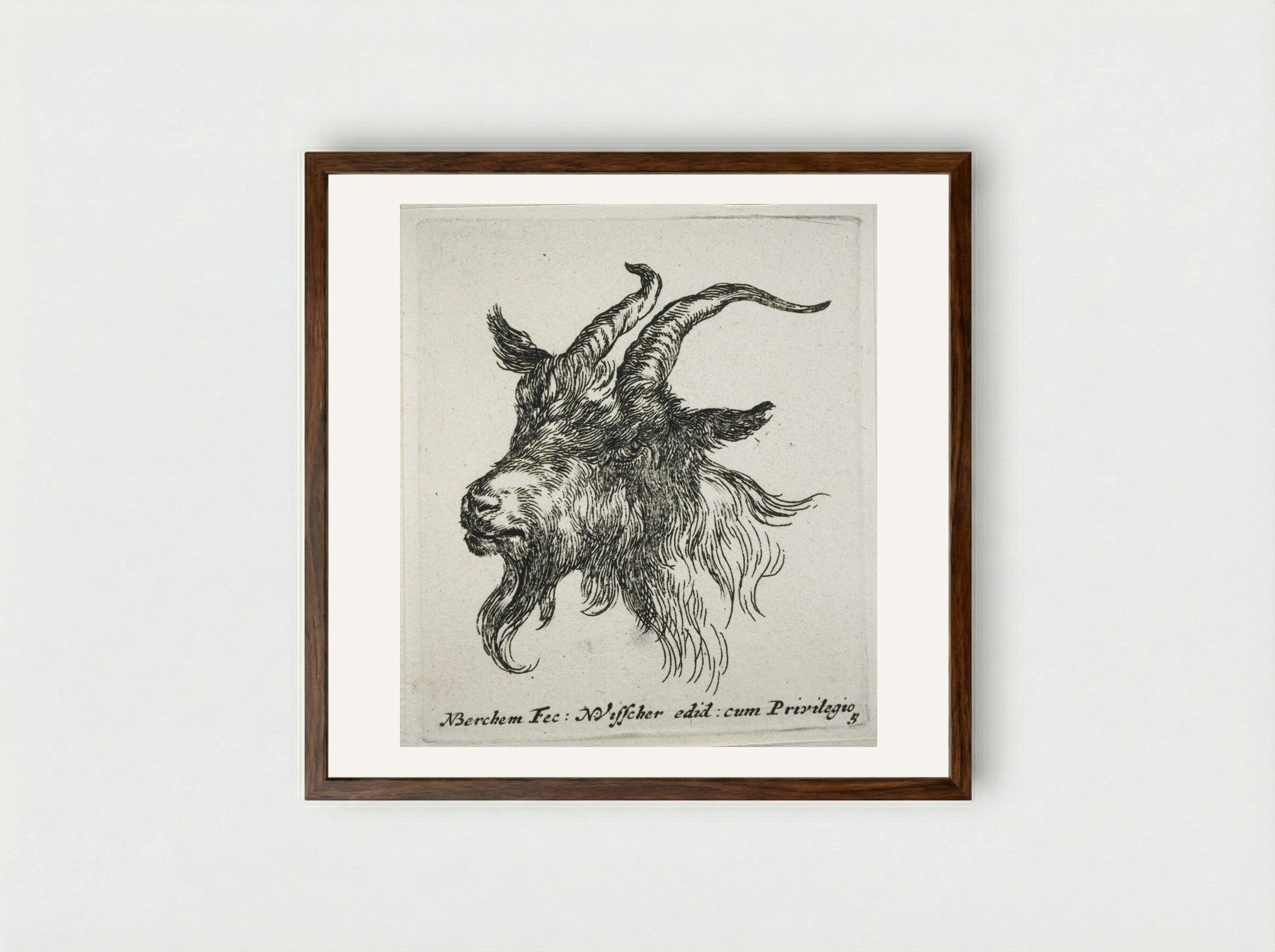Head of a Goat Looking Forward and Left - Nicolaes Berchem - Framed Print Dark Wood