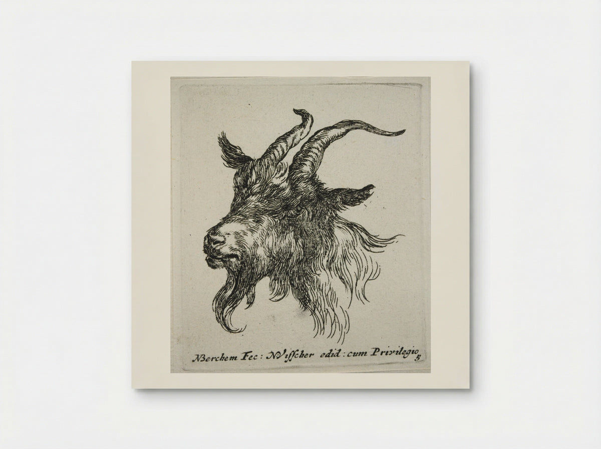 Head of a Goat Looking Forward and Left - Nicolaes Berchem - Poster