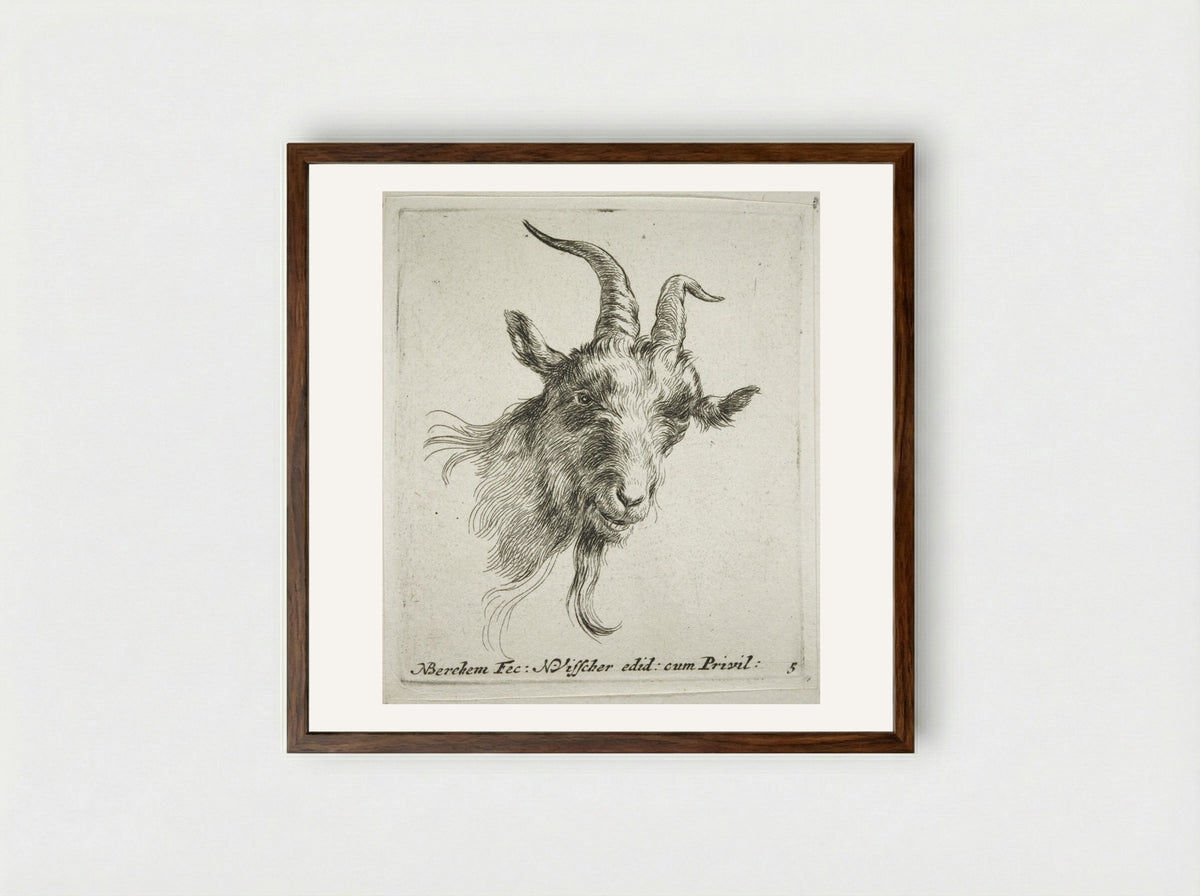 Head of a Goat Looking Forward and Right - Nicolaes Berchem - Framed Print Dark Wood