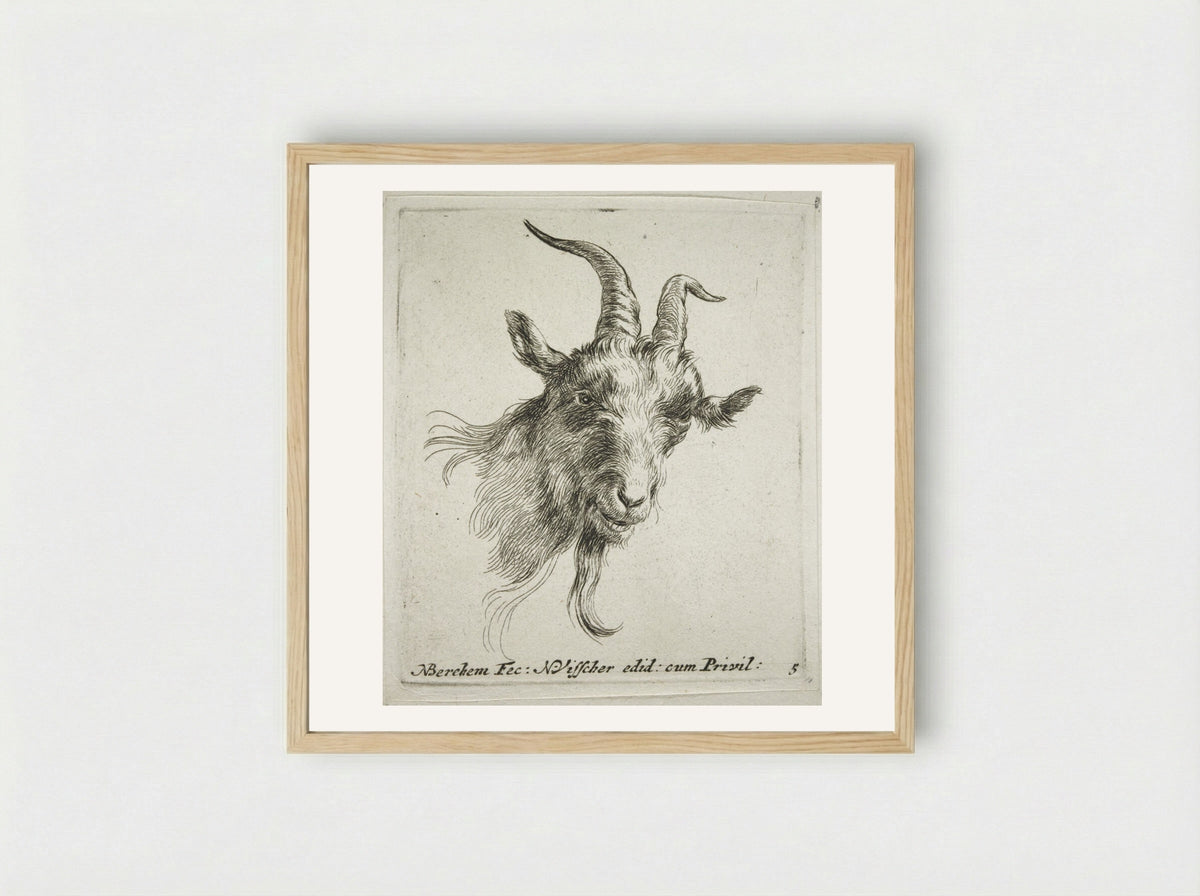 Head of a Goat Looking Forward and Right - Nicolaes Berchem - Framed Print Wood