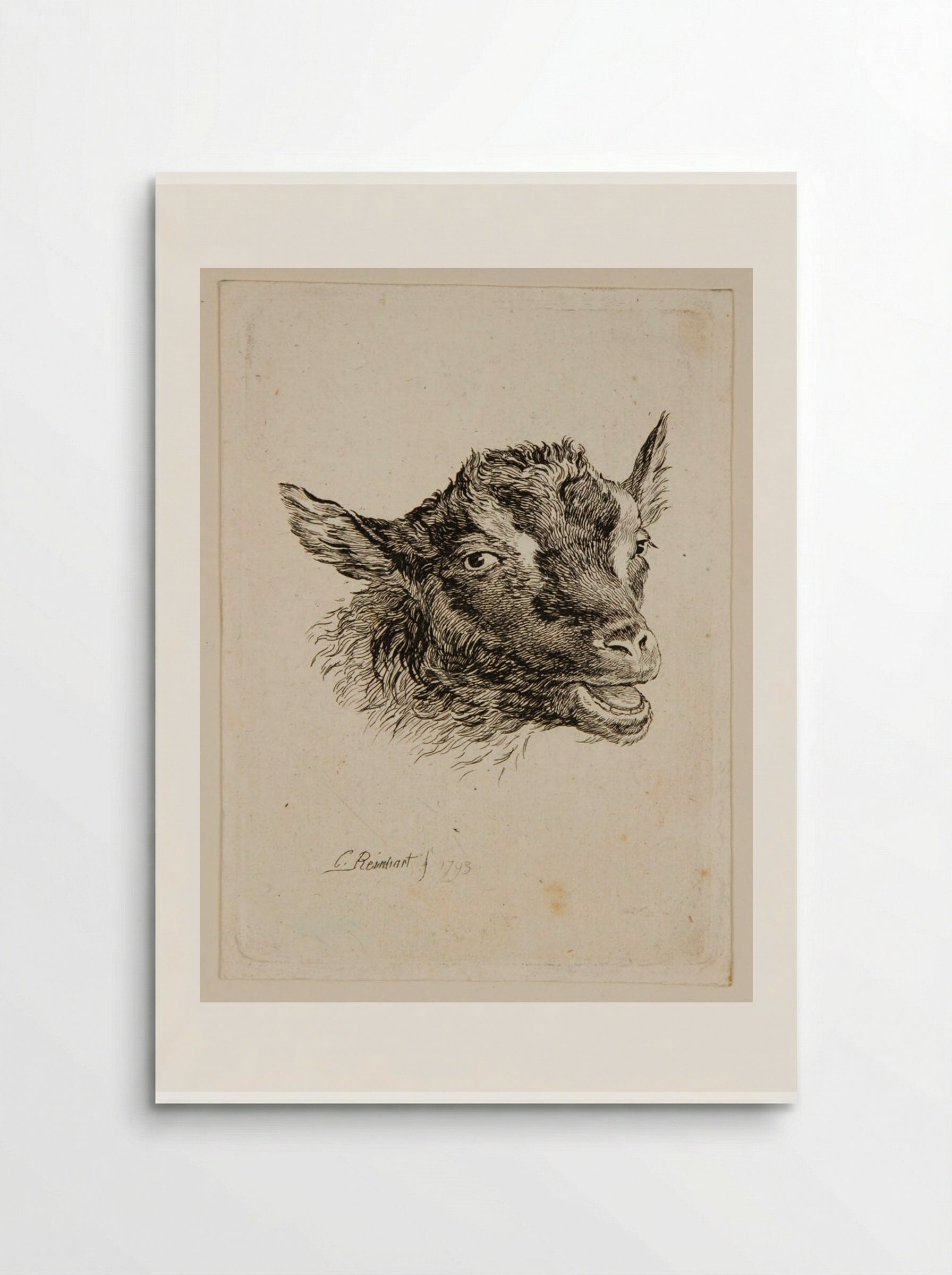 Head of a Goat - Johann Christian Reinhart - Poster