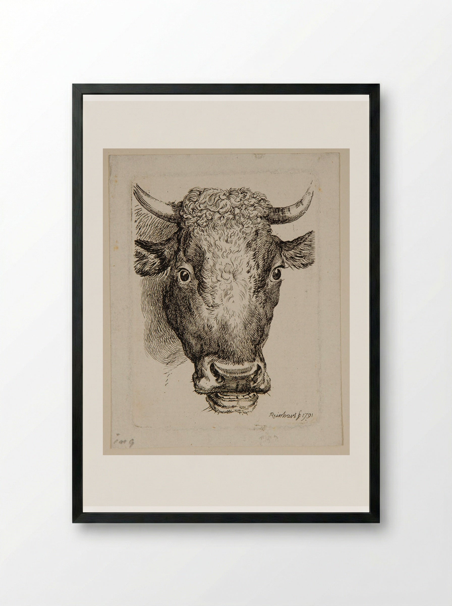 Head of an Ox - Johann Christian Reinhart - Framed Print Black