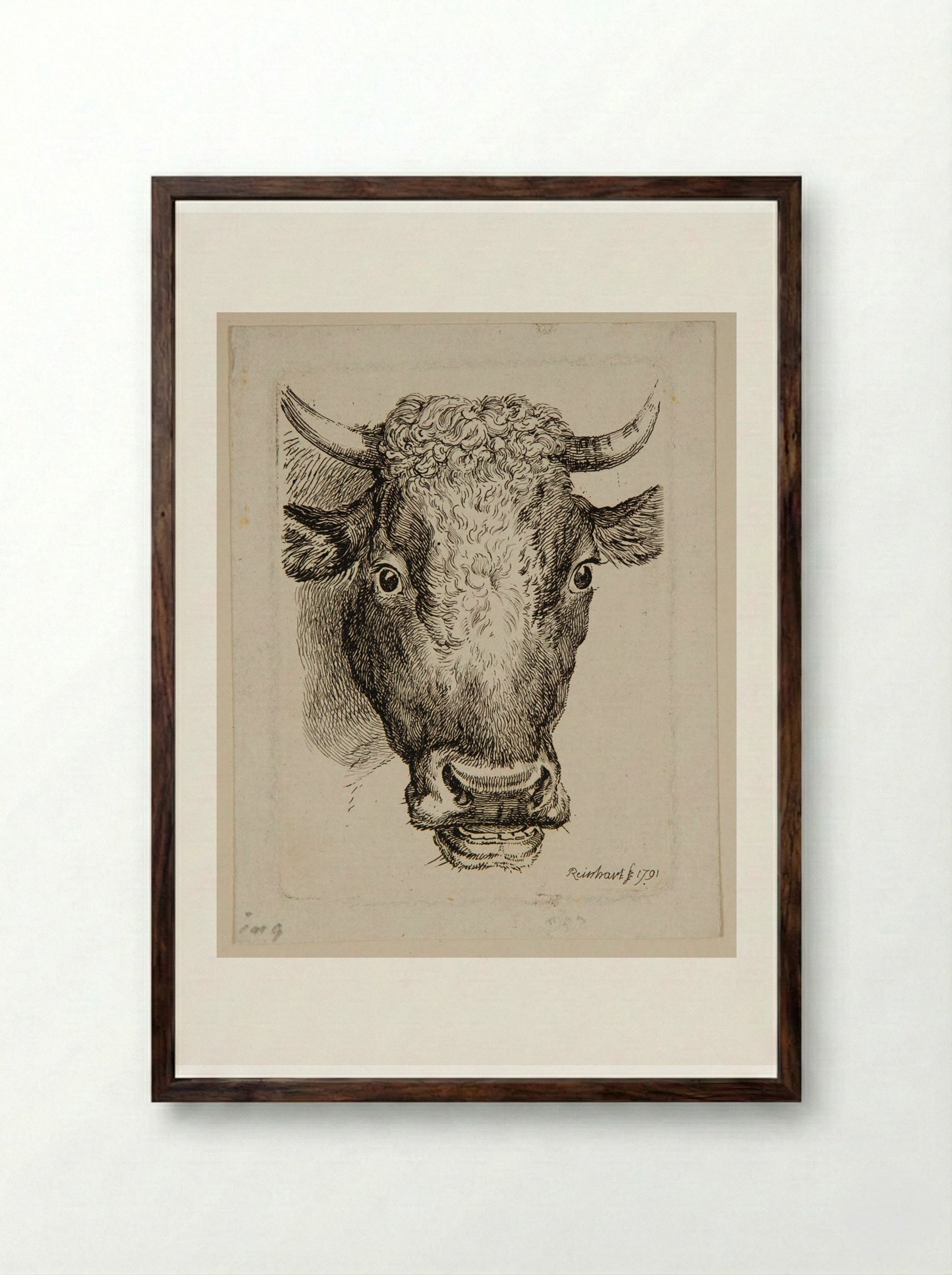 Head of an Ox - Johann Christian Reinhart - Framed Print Dark Wood