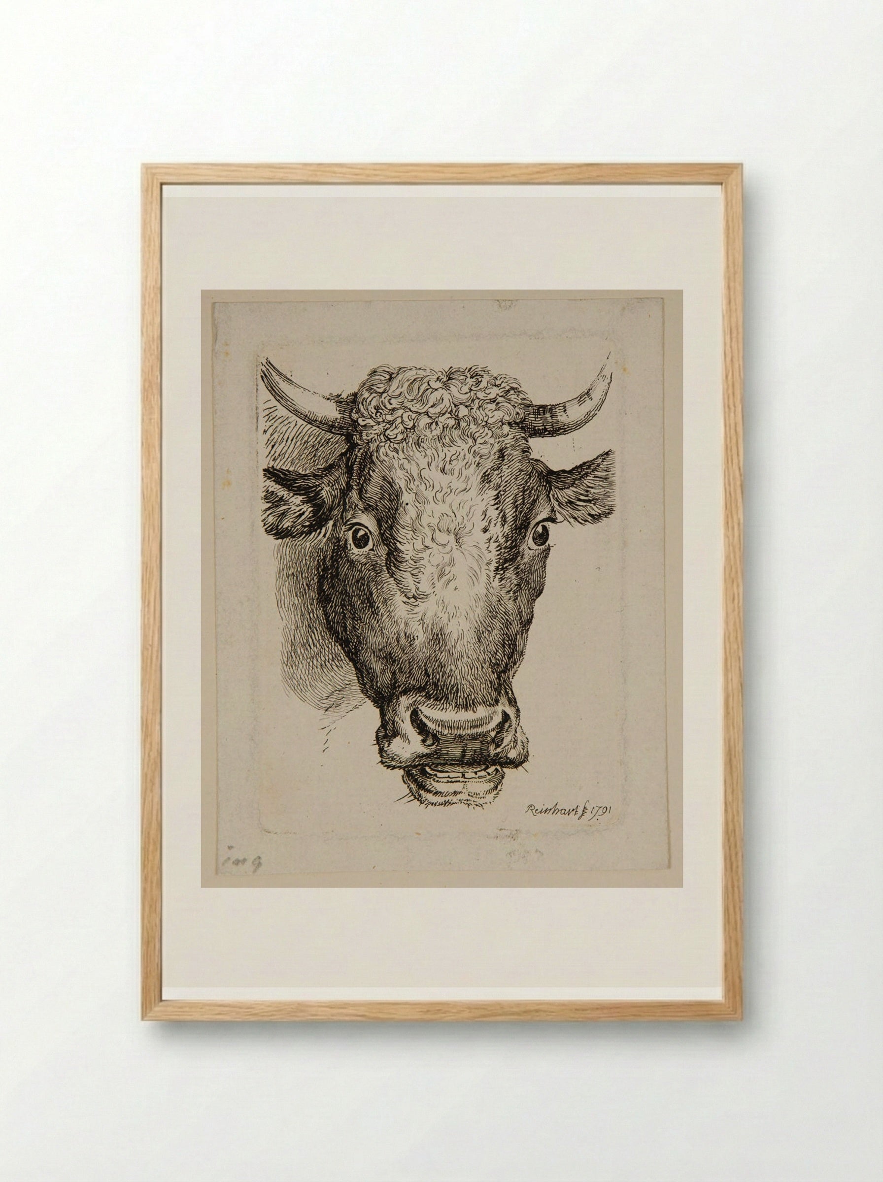 Head of an Ox - Johann Christian Reinhart - Framed Print Wood