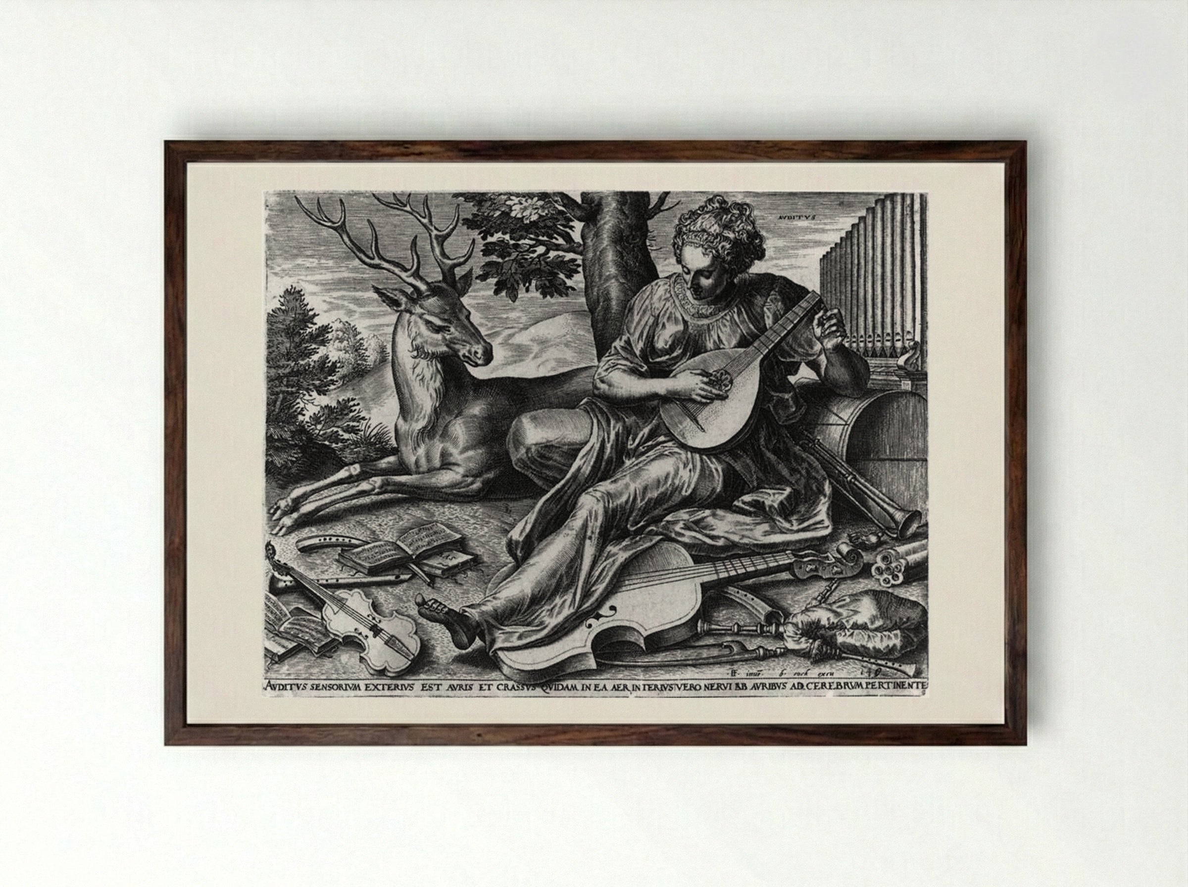 Hearing (Auditus) - Cornelis Cort - Framed Print Dark Wood