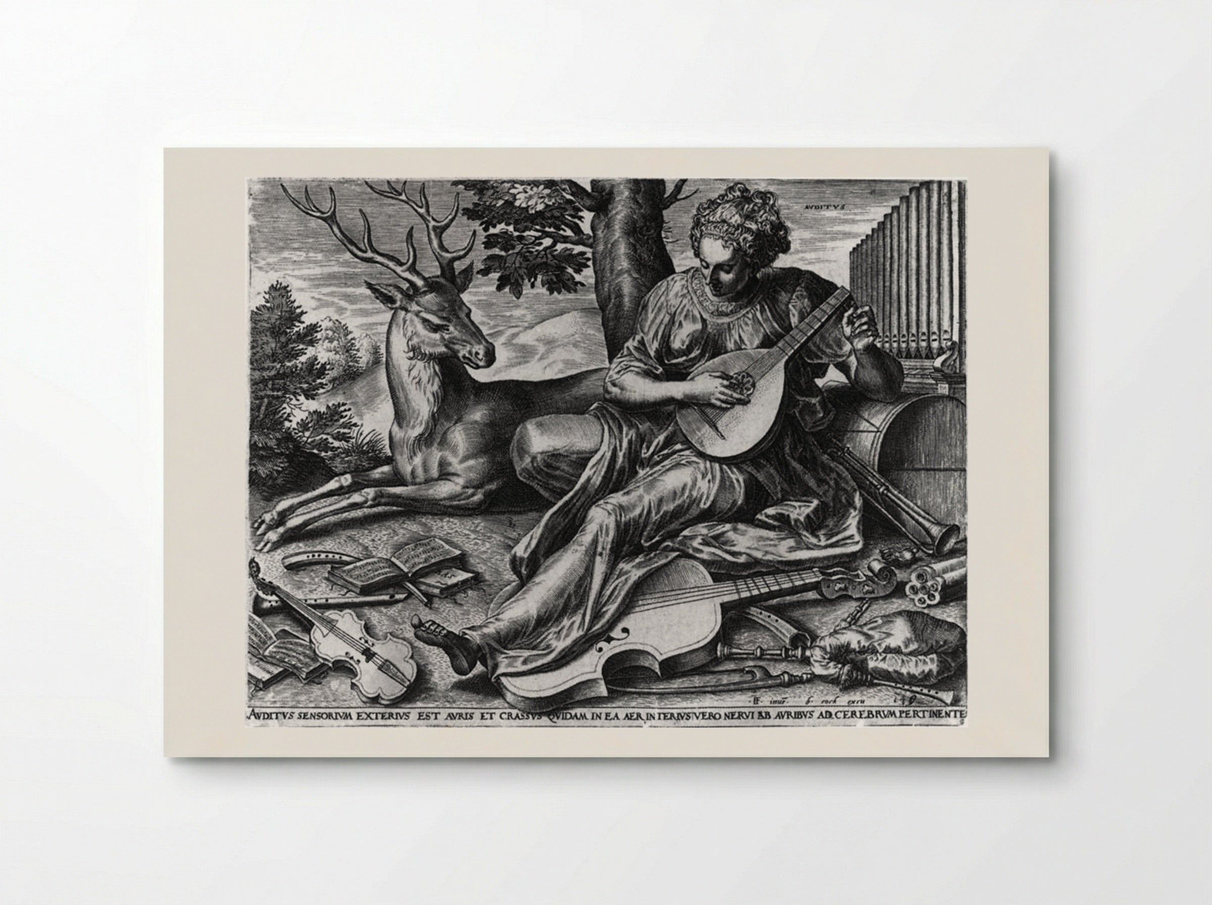 Hearing (Auditus) - Cornelis Cort - Poster