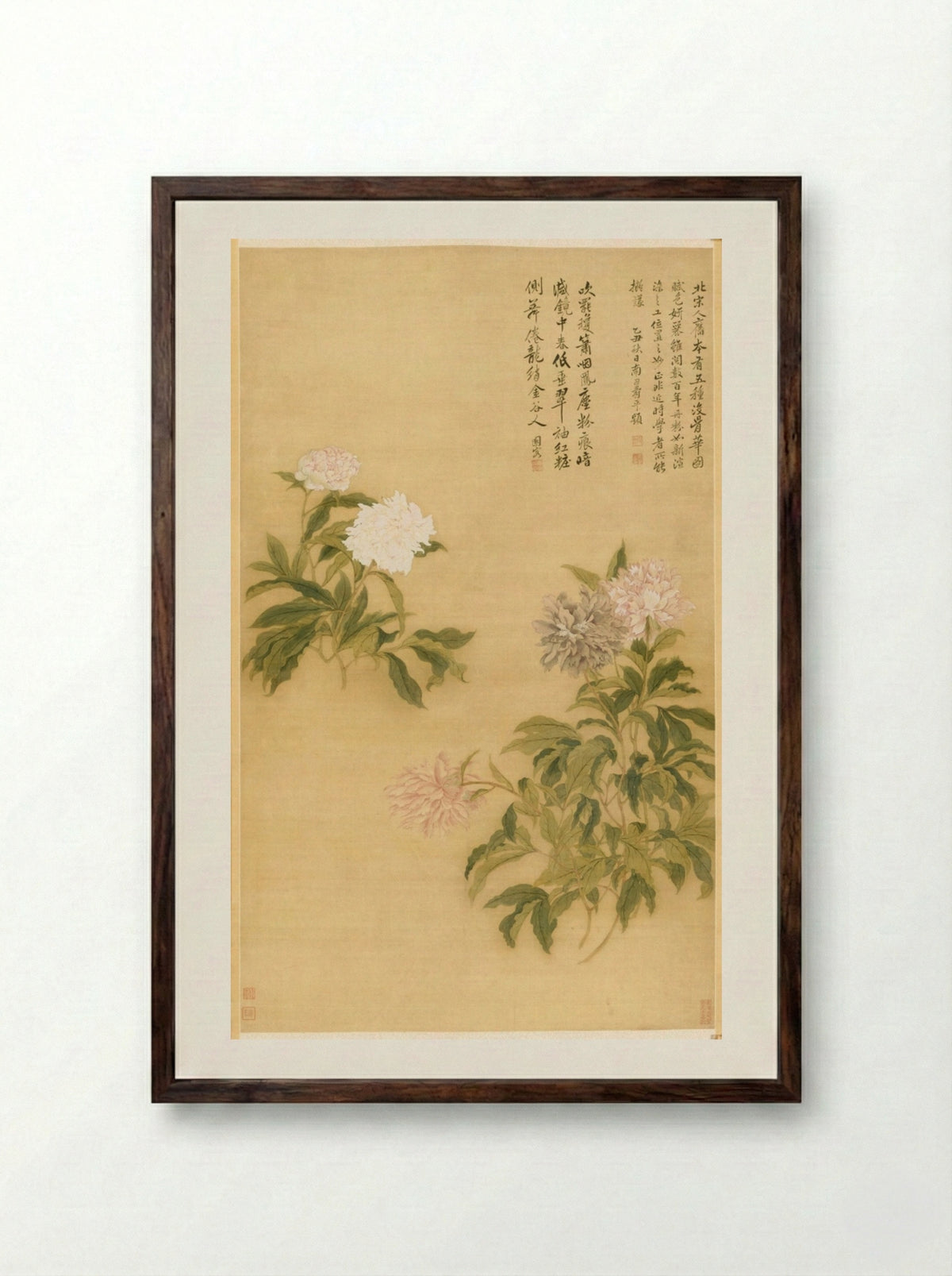 Herbaceous Peony - Yun Shouping - Framed Print Dark Wood