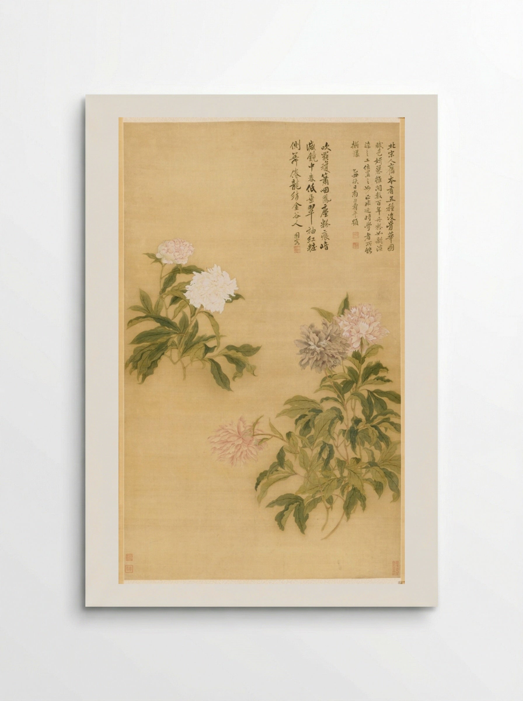 Herbaceous Peony - Yun Shouping - Poster