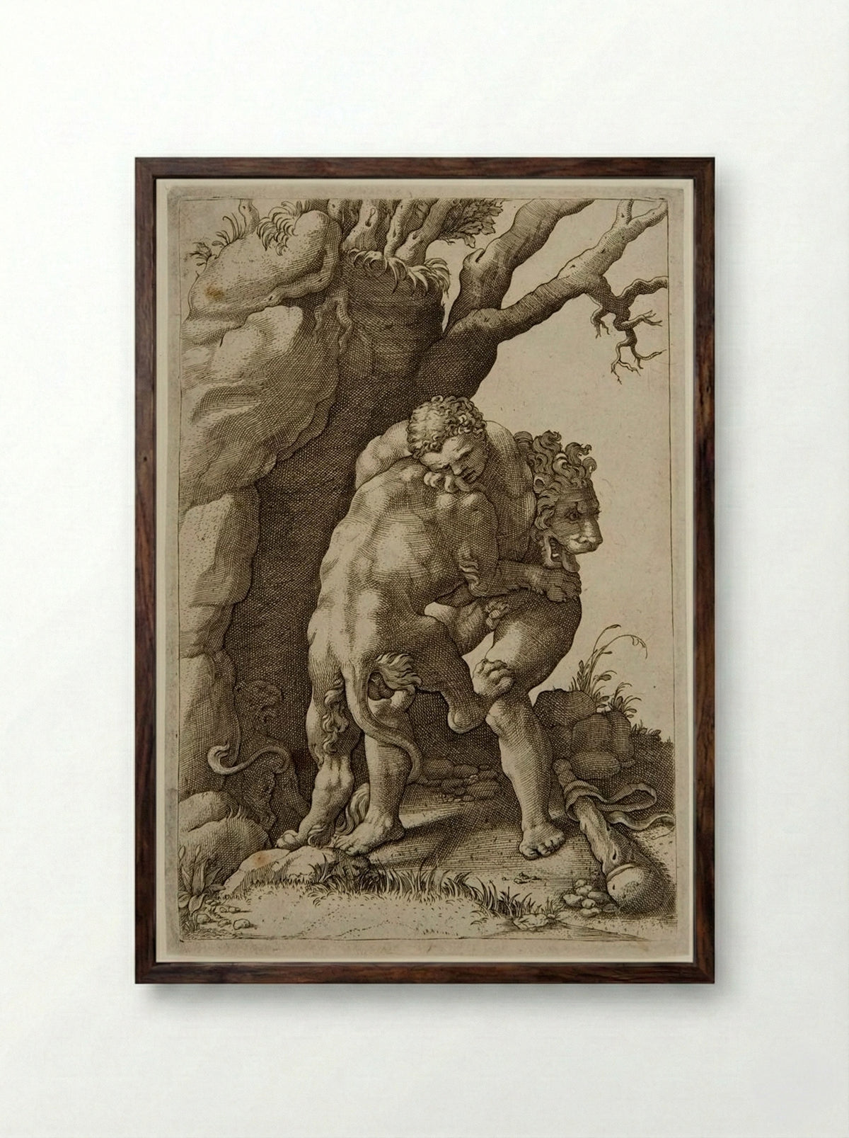 Hercules Killing the Nemean Lion - Adamo Sculptore - Framed Print Dark Wood