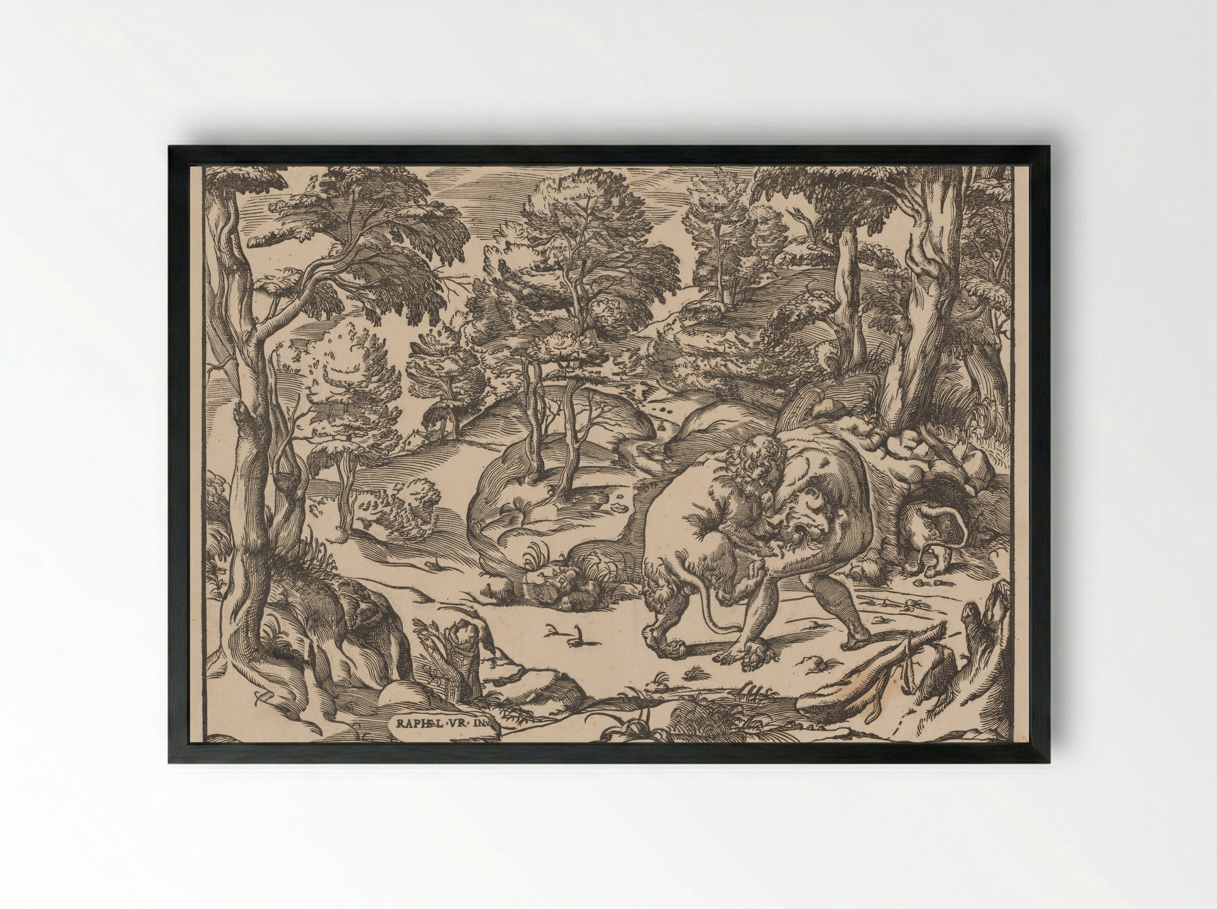 Hercules and the Nemean Lion - Nicolò Boldrini - Framed Print Black