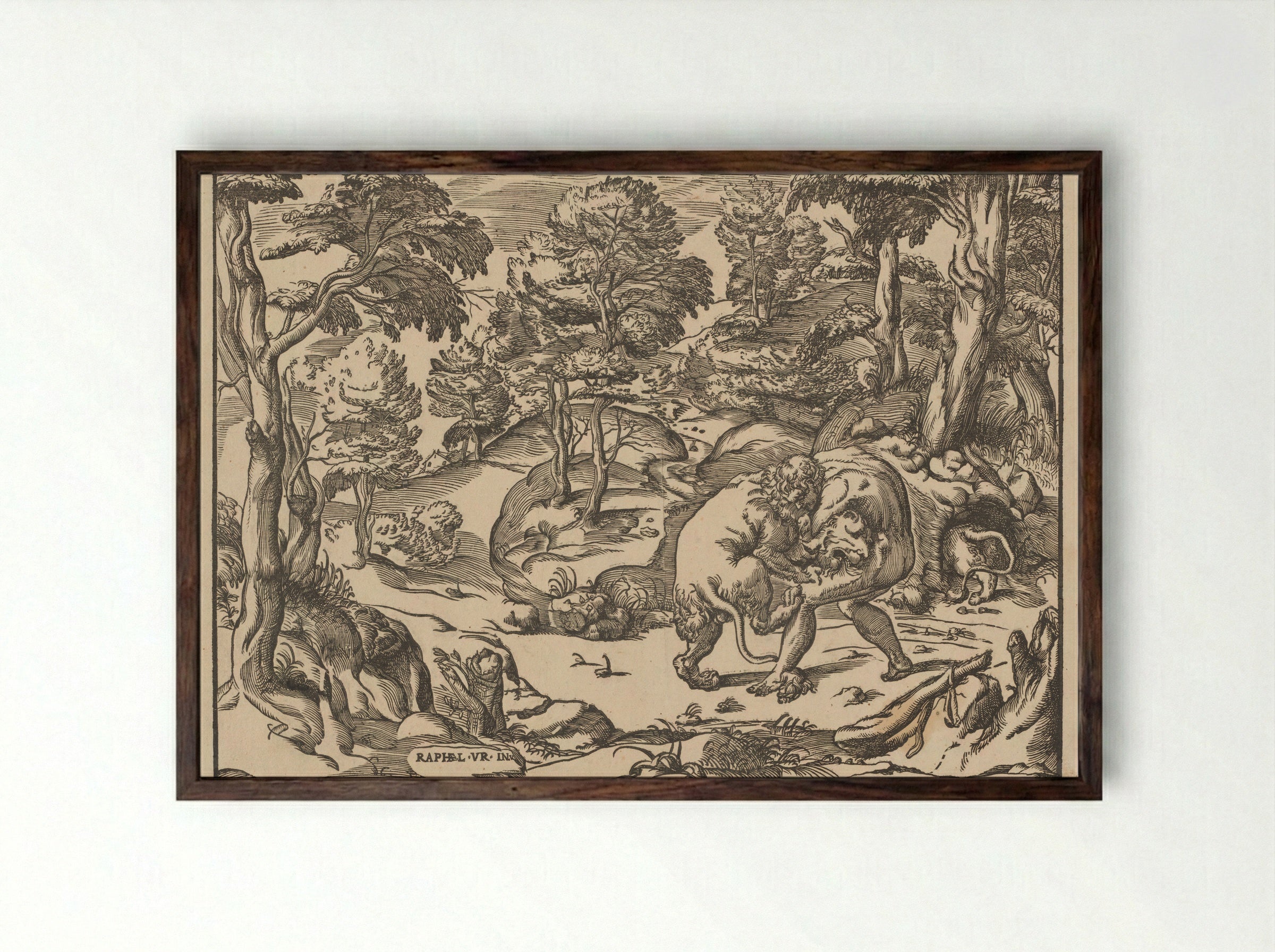 Hercules and the Nemean Lion - Nicolò Boldrini - Framed Print Dark Wood