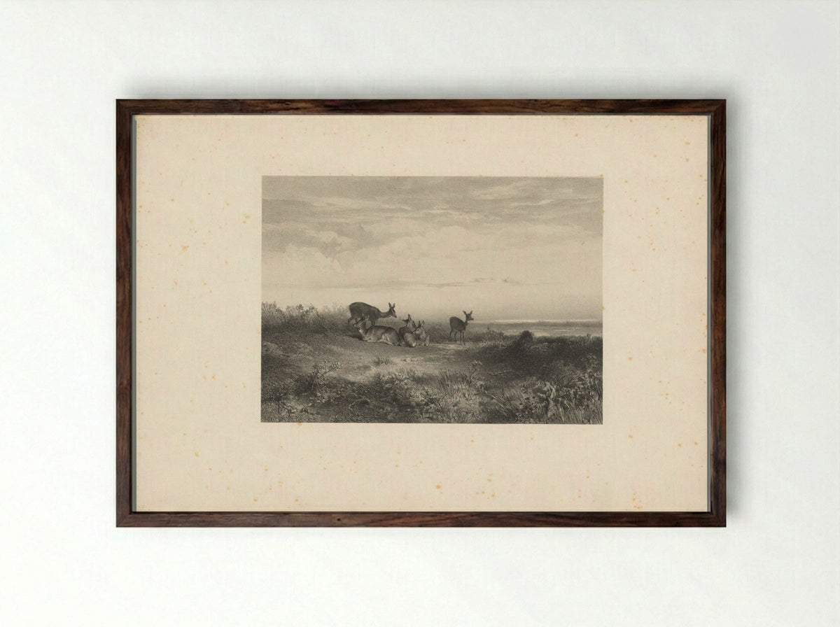 Herten in een landschap - Karl Bodmer - Framed Print Dark Wood