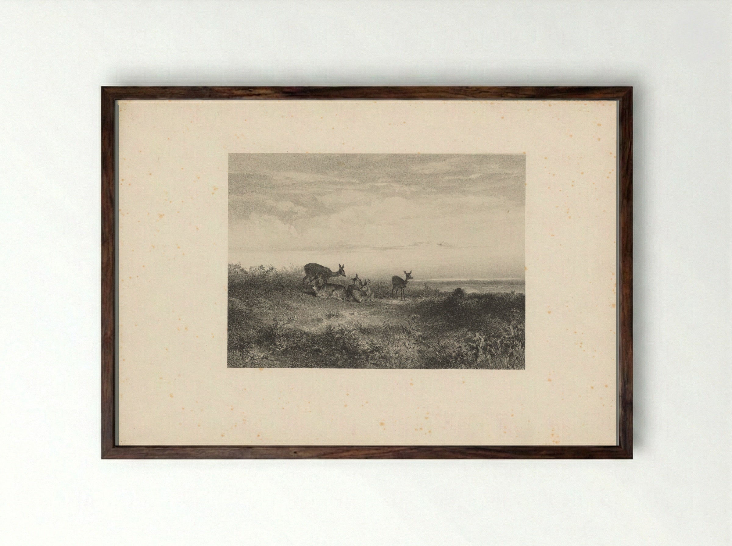 Herten in een landschap - Karl Bodmer - Framed Print Dark Wood
