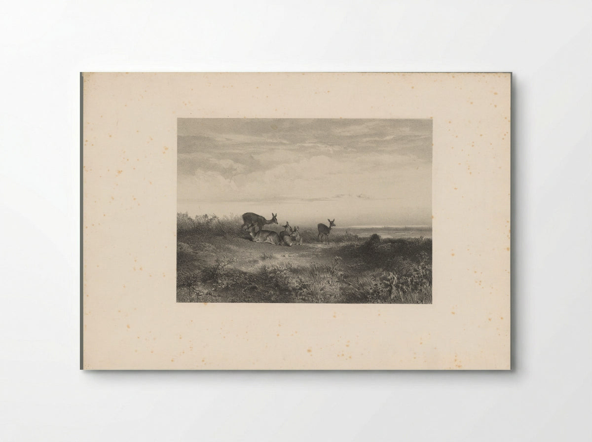 Herten in een landschap - Karl Bodmer - Poster