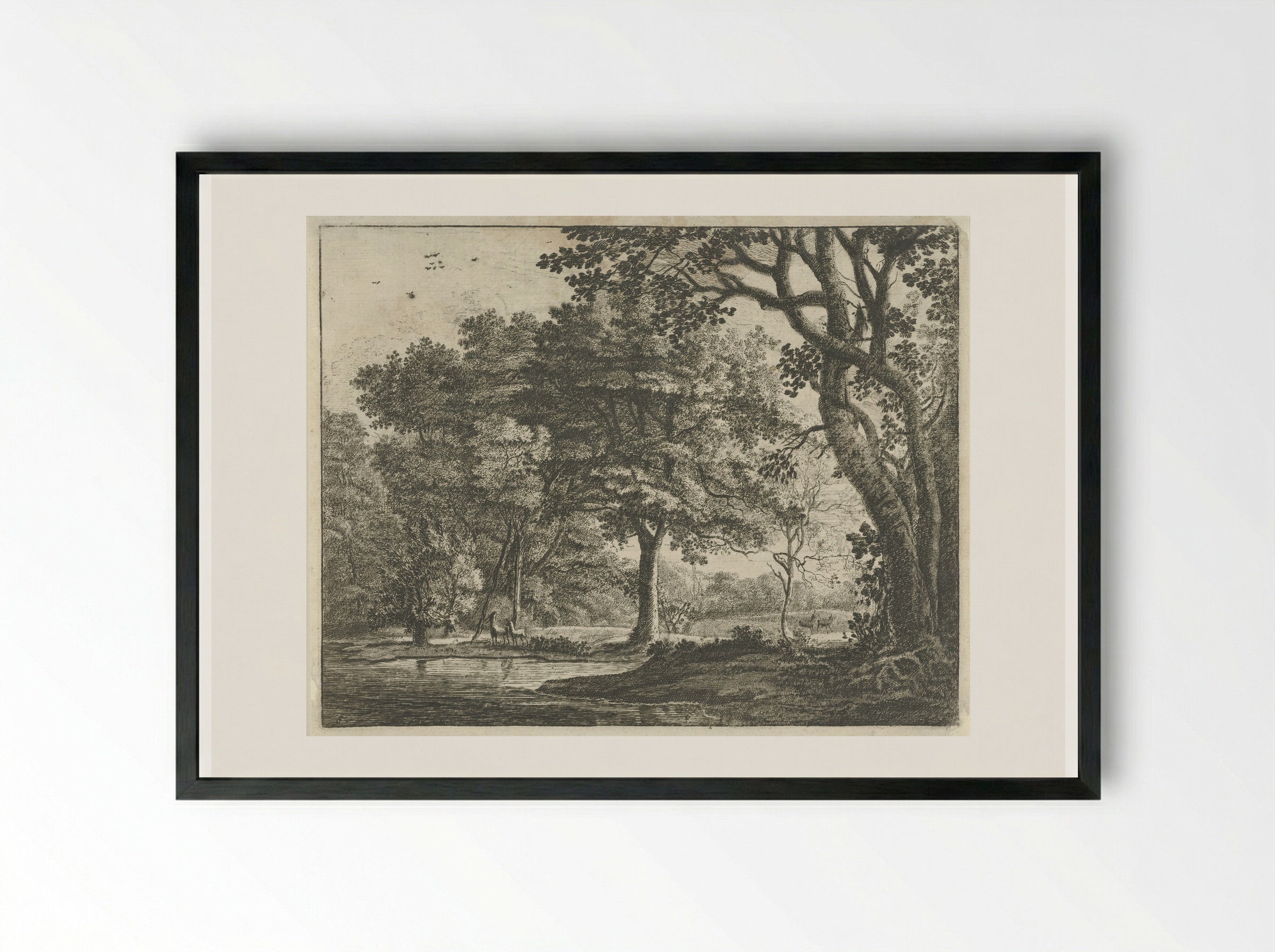 Herten in het Haagse Bos - Roelant Roghman - Framed Print Black