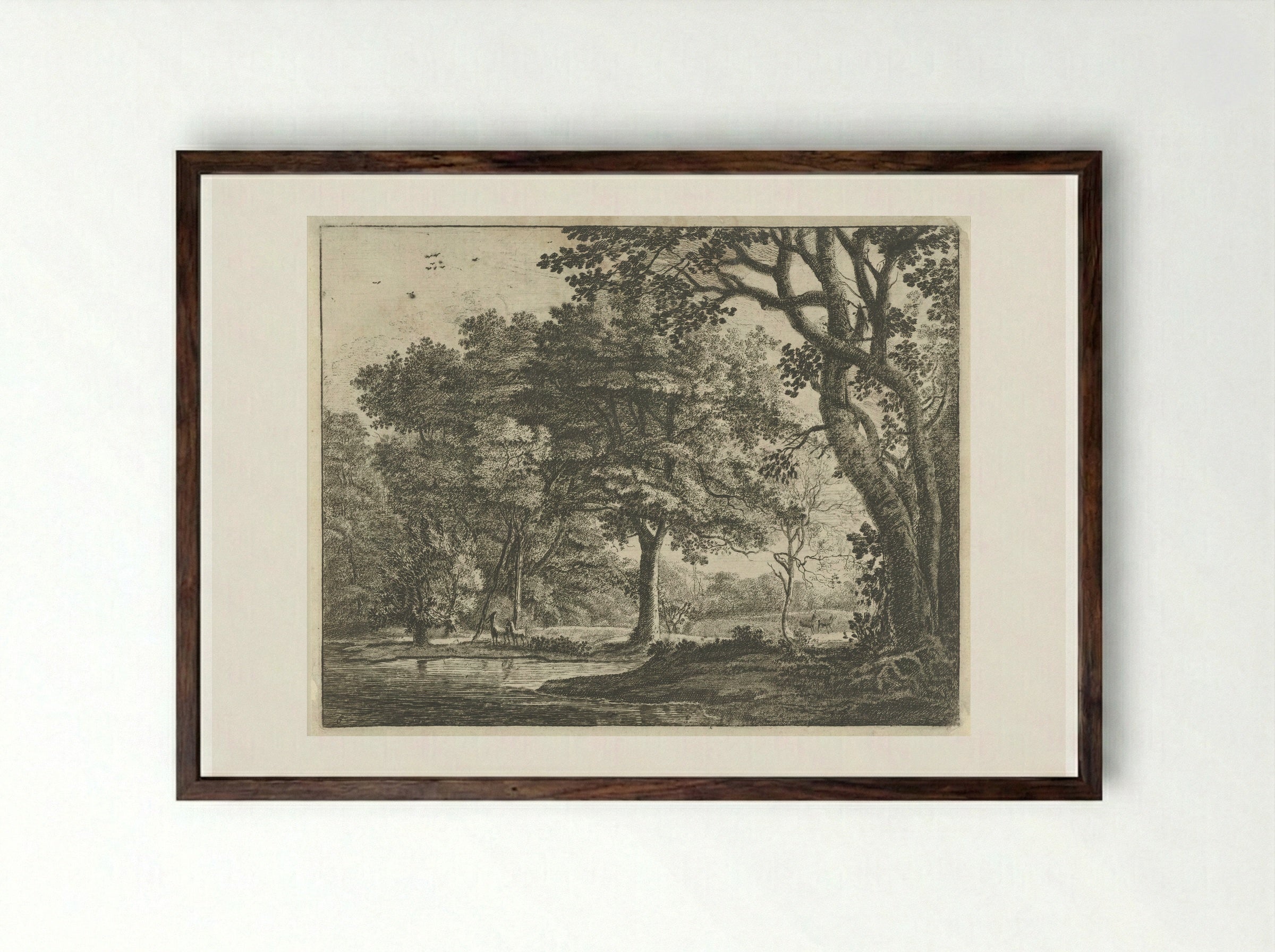 Herten in het Haagse Bos - Roelant Roghman - Framed Print Dark Wood