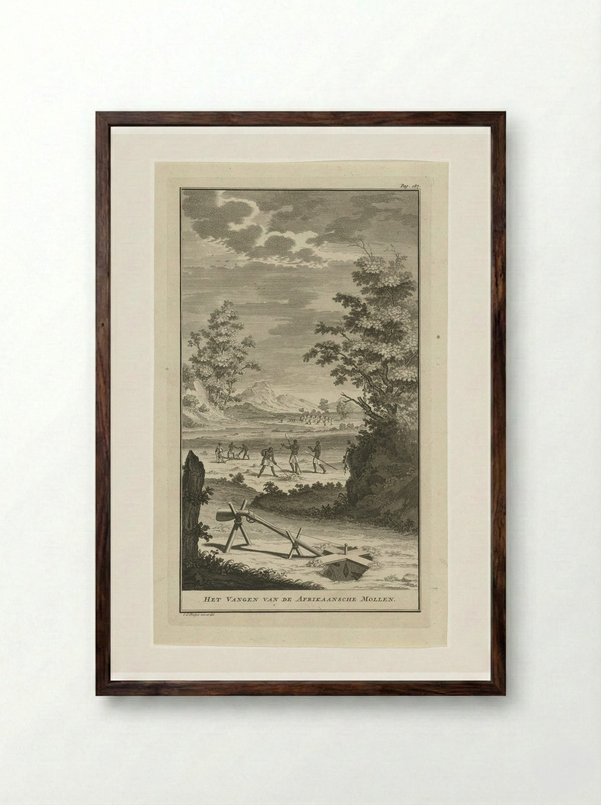 Het Vangen van de Afrikaansche Mollen - Jan Caspar Philips - Framed Print Dark Wood