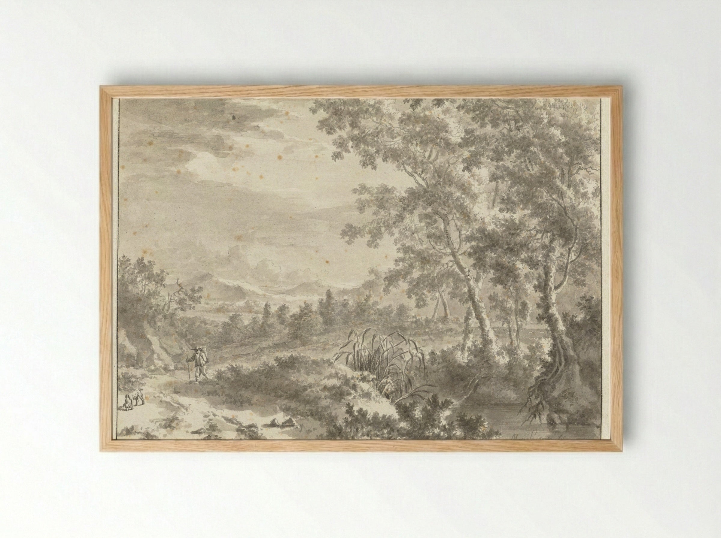 Hilly Landscape with Tall Trees and a Traveller - Frederik de Moucheron - Framed Print Wood