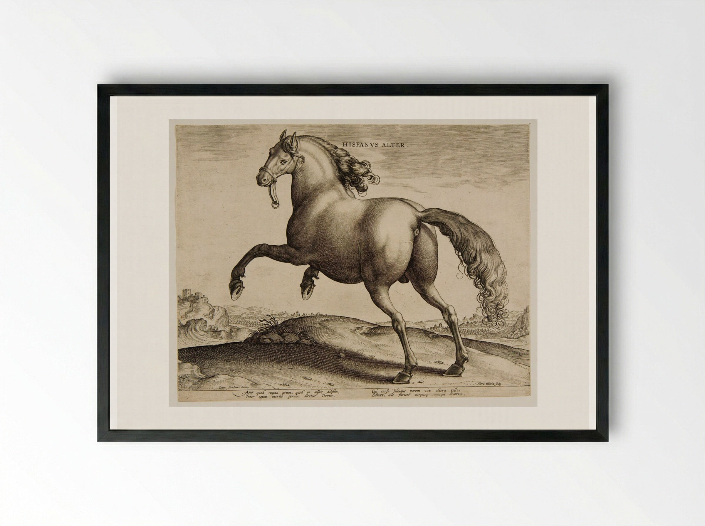 Hispanus Alter - Hieronymus Wierix - Framed Print Black