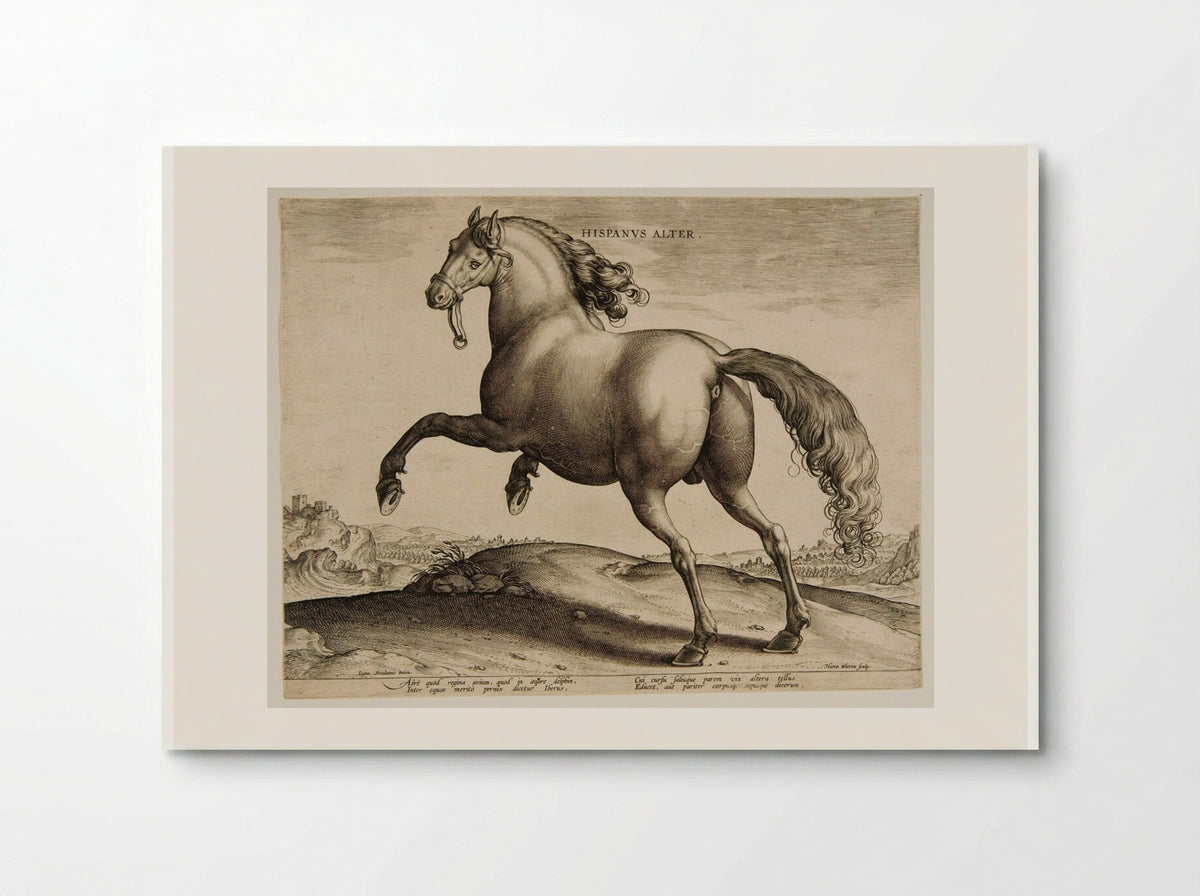 Hispanus Alter - Hieronymus Wierix - Poster