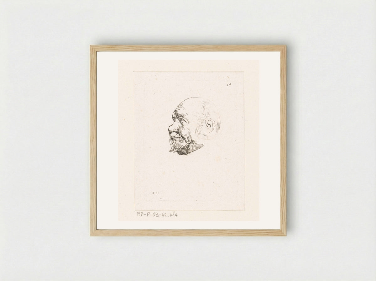 Hoofd van een kale man - Anne Claude Philippe de Tubières, comte de Caylus - Framed Print Wood