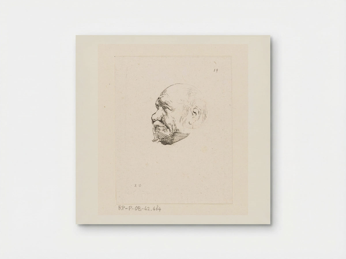 Hoofd van een kale man - Anne Claude Philippe de Tubières, comte de Caylus - Poster