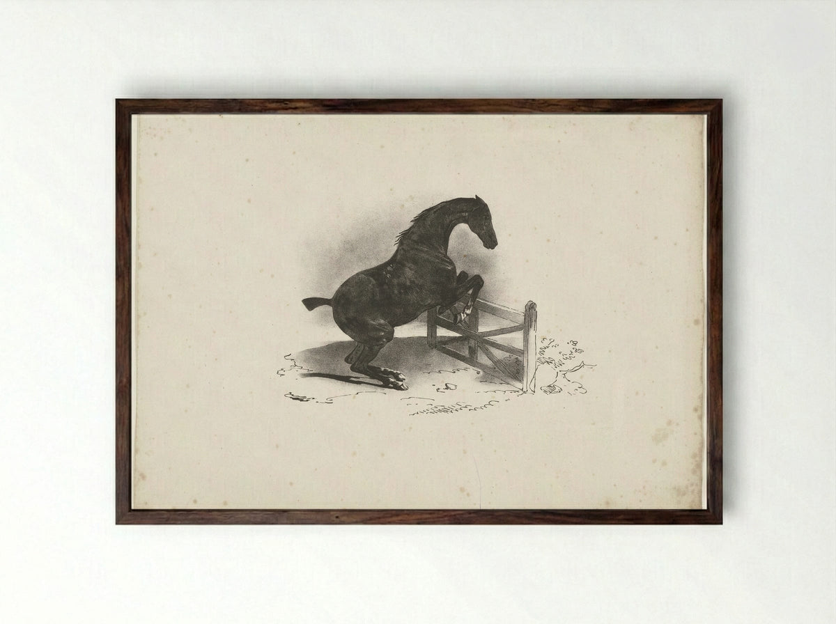 Horse Jumping Over a Fence - Jacques-Raymond Brascassat - Framed Print Dark Wood