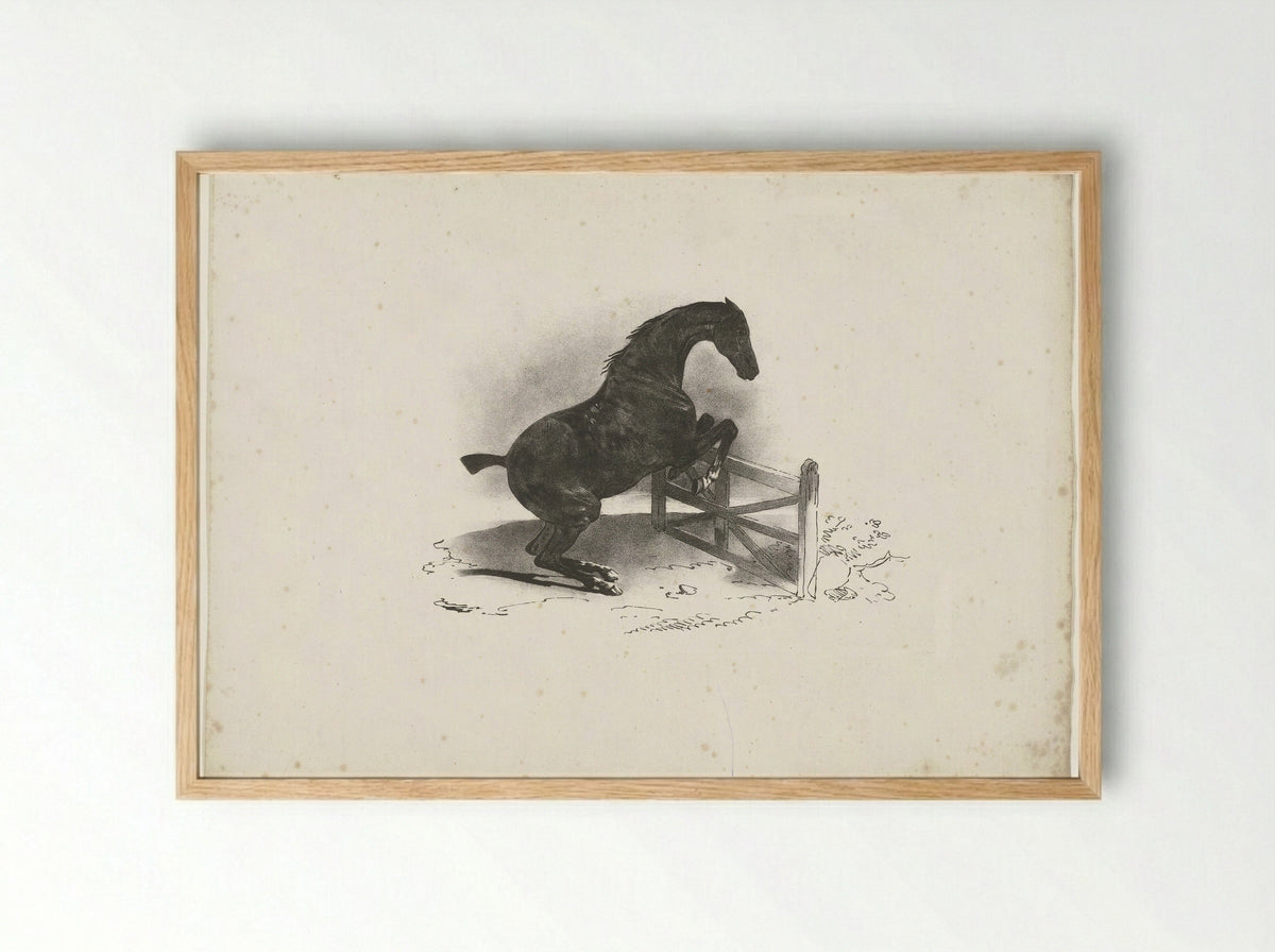 Horse Jumping Over a Fence - Jacques-Raymond Brascassat - Framed Print Wood