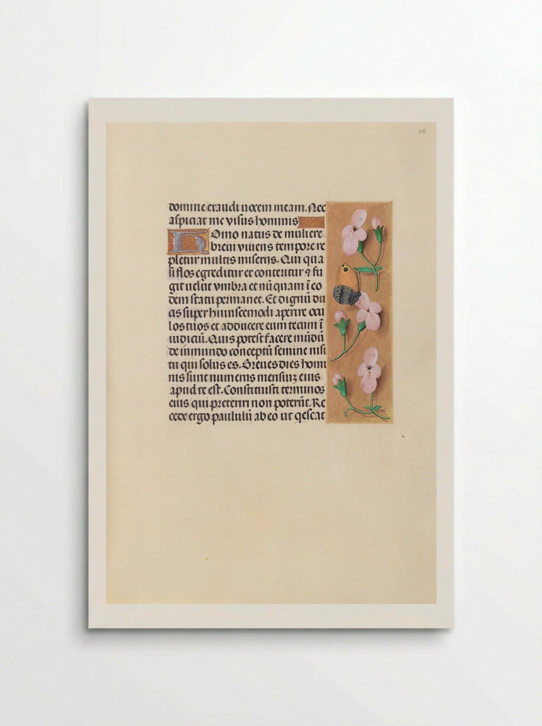 Hours of Queen Isabella the Catholic: Folio 238r - Master of the First Prayerbook of Maximilian - Poster