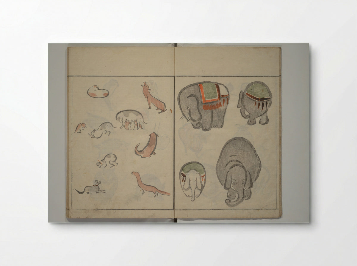 How to Draw Birds, Insects and Fish Simply - Kuwagata Keisai - Poster