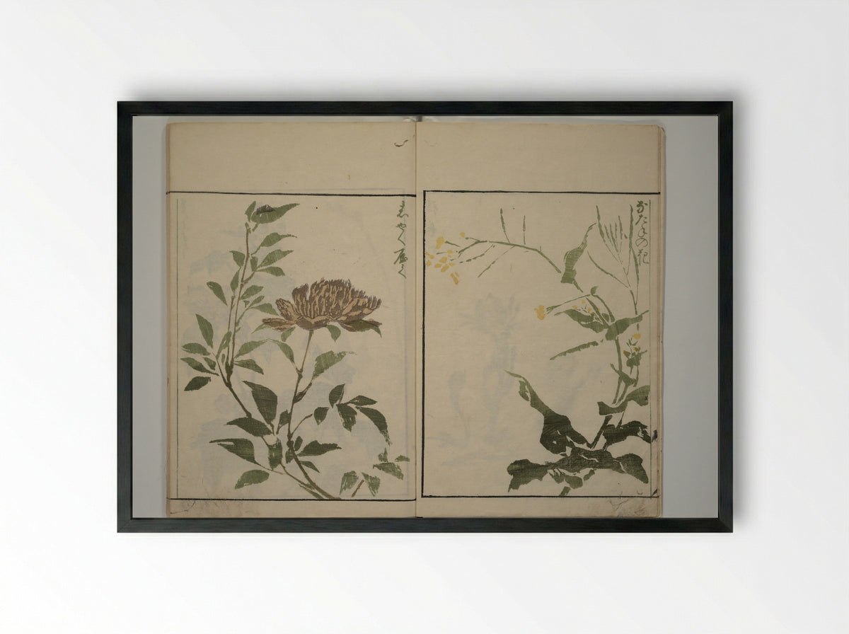 How to Draw Plants and Flowers Simply (Sōka ryakugashiki) - Kuwagata Keisai - Framed Print Black