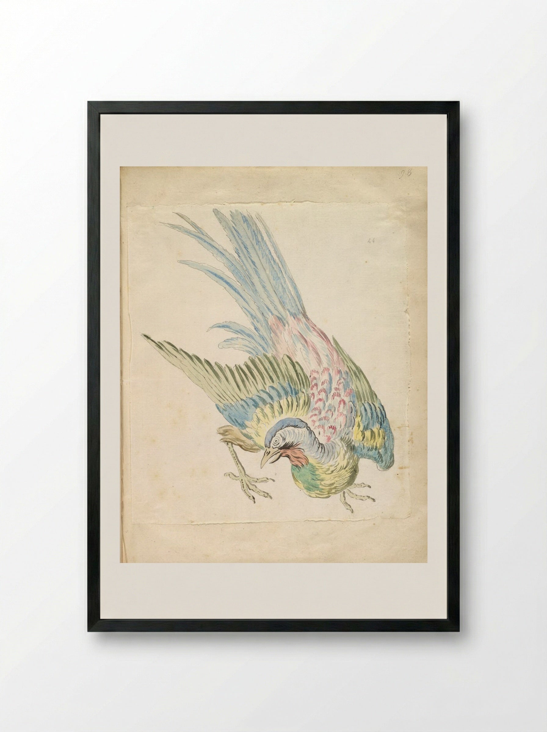 Hunched Bird with Ruffled Feathers - Jean-Baptiste Oudry - Framed Print Black