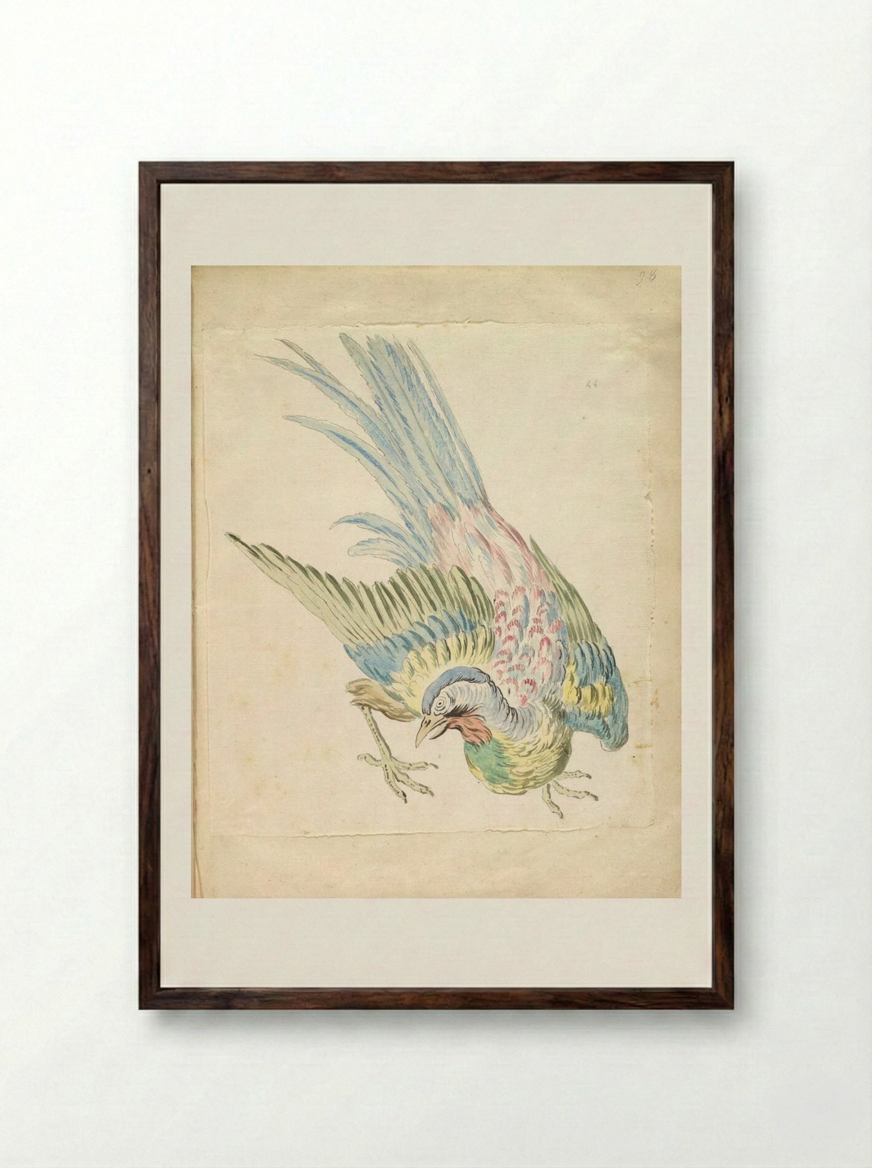 Hunched Bird with Ruffled Feathers - Jean-Baptiste Oudry - Framed Print Dark Wood