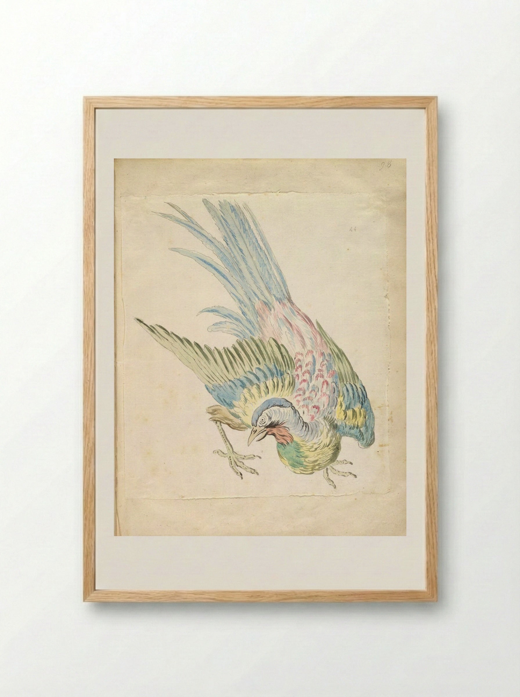 Hunched Bird with Ruffled Feathers - Jean-Baptiste Oudry - Framed Print Wood