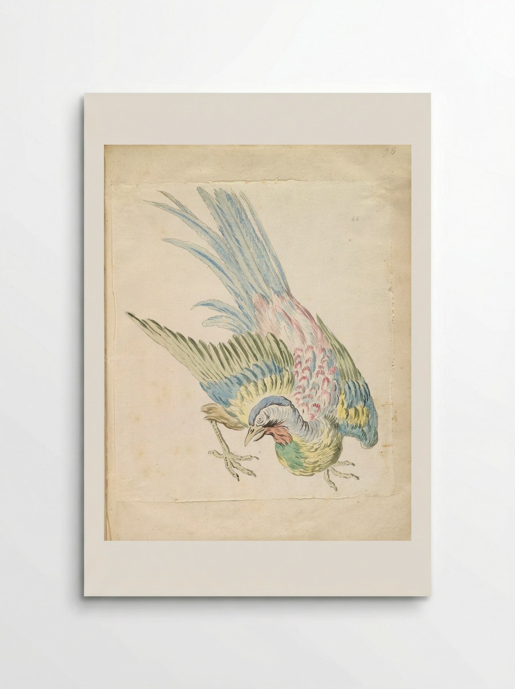 Hunched Bird with Ruffled Feathers - Jean-Baptiste Oudry - Poster