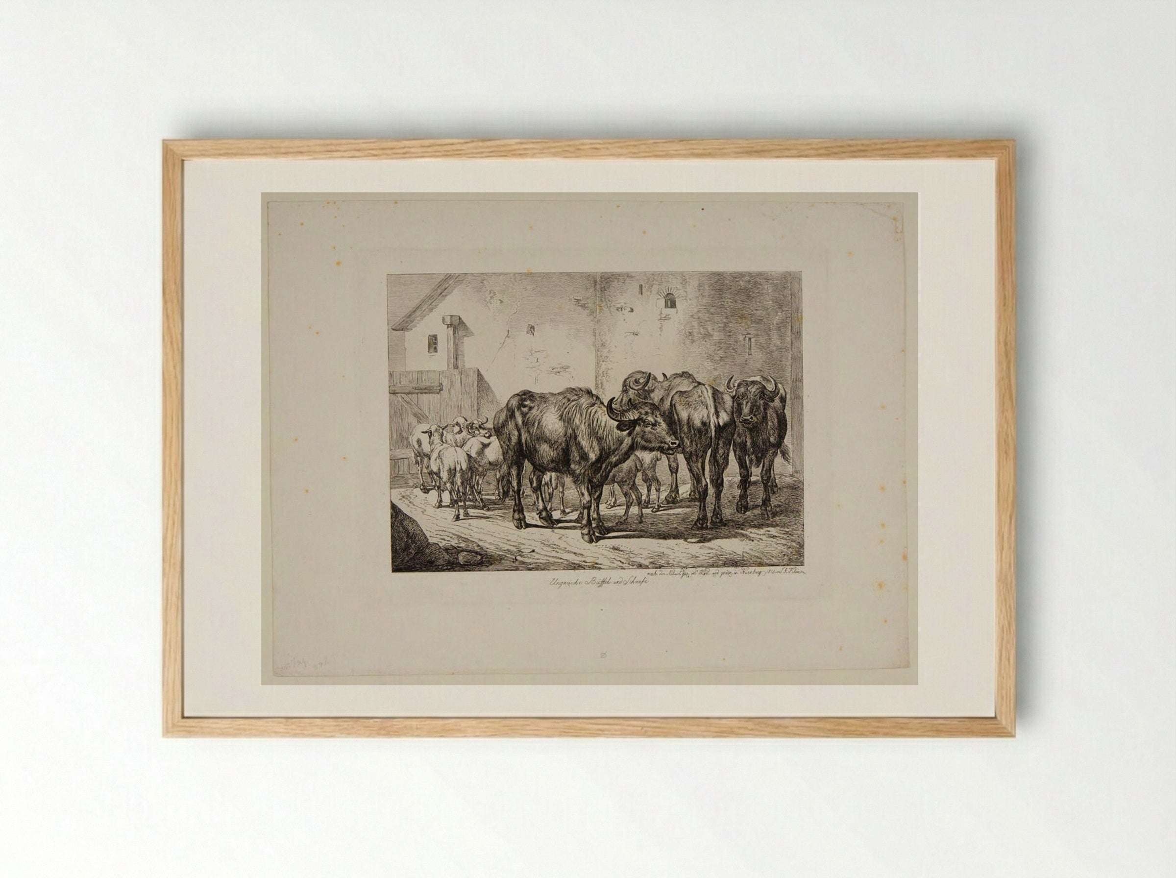 Hungarian Buffaloes and Sheep - Johann Adam Klein - Framed Print Wood