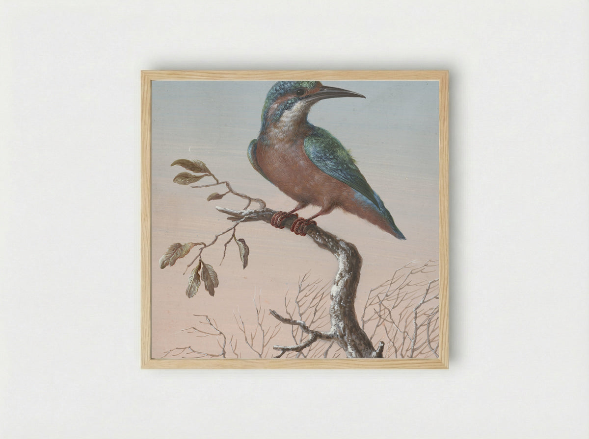 IJsvogel (Kingfisher) - Barbara Regina Dietzsch - Framed Print Wood