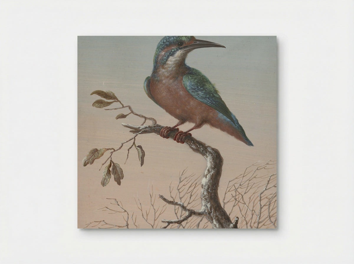 IJsvogel (Kingfisher) - Barbara Regina Dietzsch - Poster