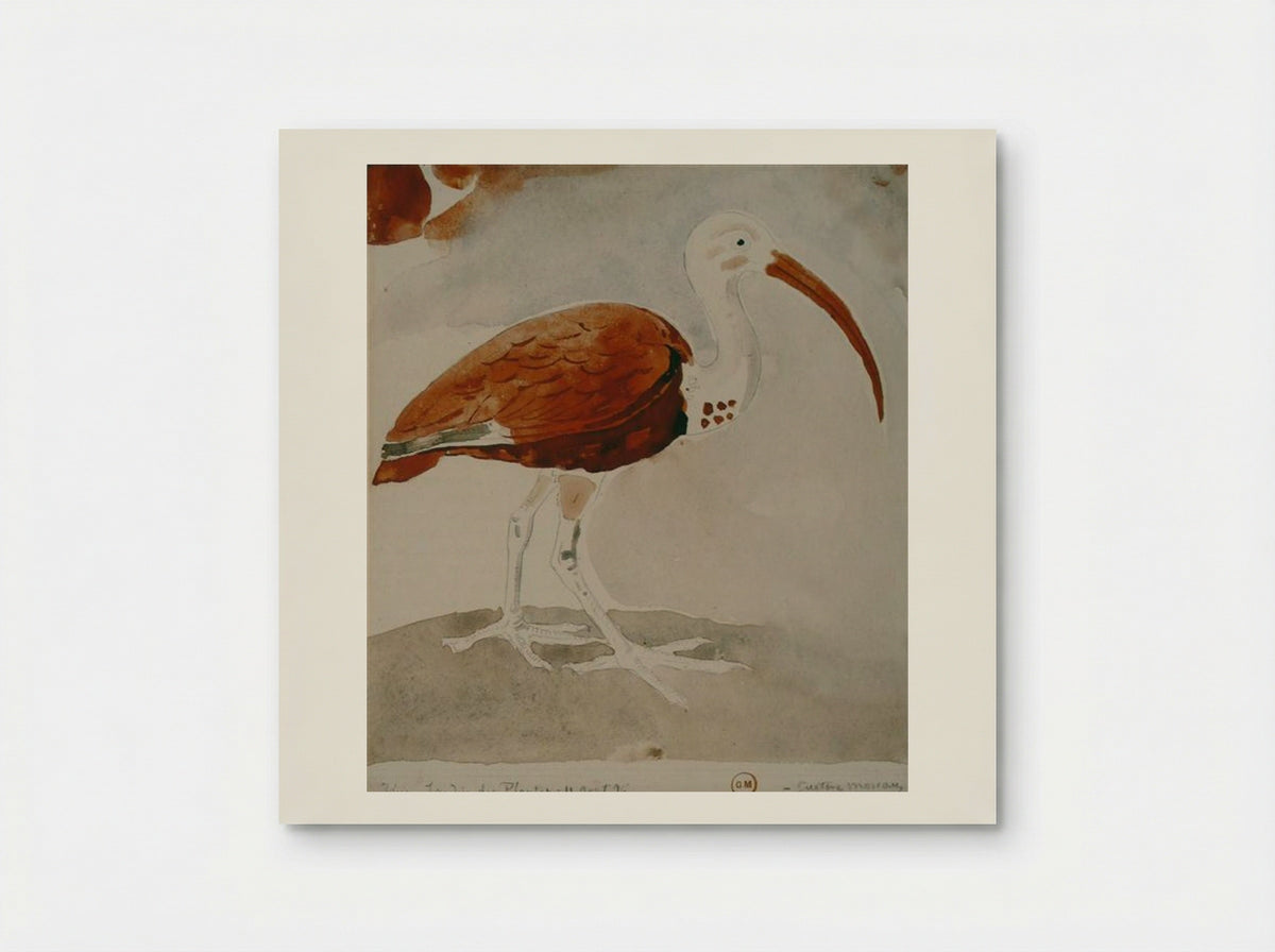 Ibis (Study from Jardin des Plantes) - Gustave Moreau - Poster