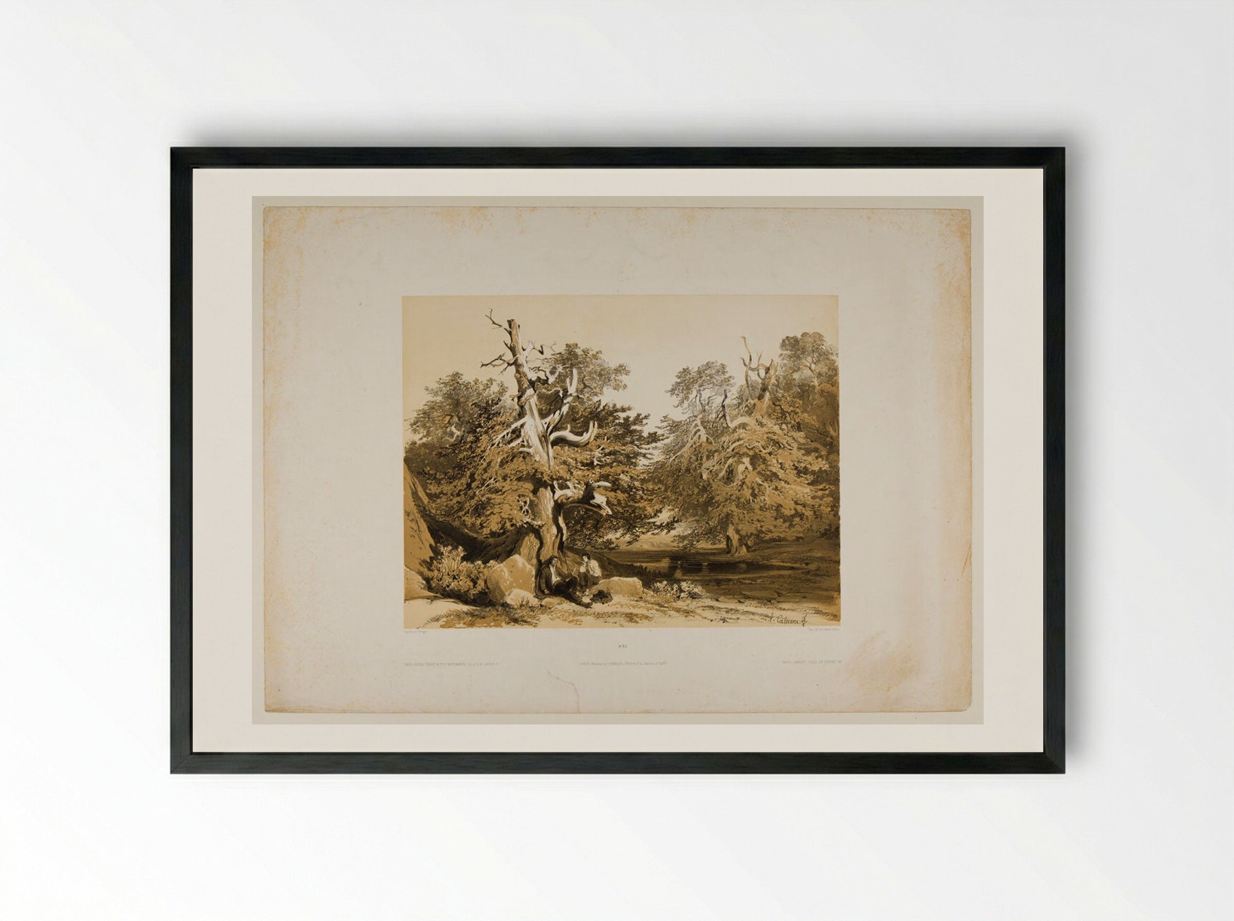 Ifs (Yew Trees) - Alexandre Calame - Framed Print Black
