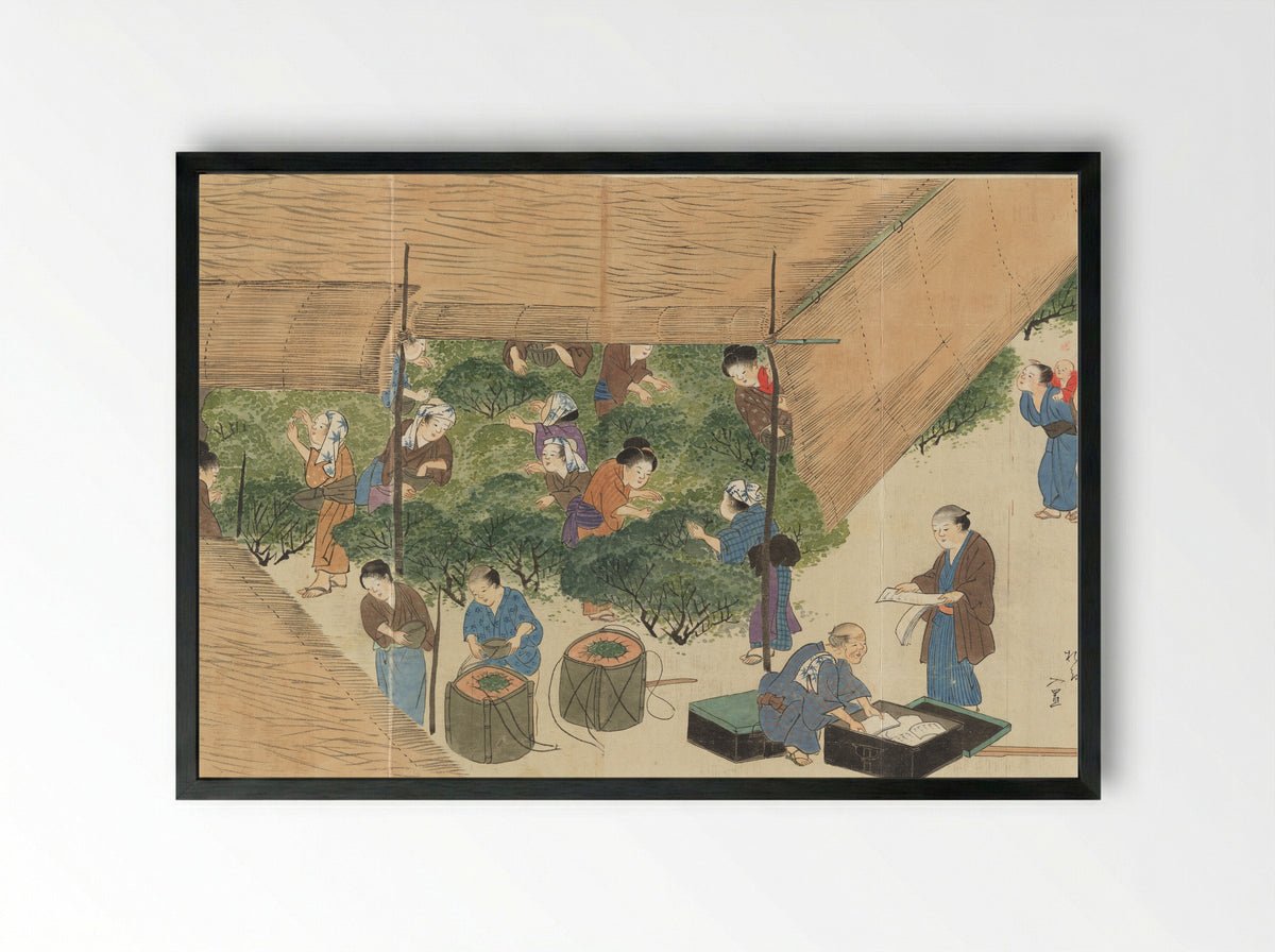 Illustrations of Uji Tea Production - Saitō Motonari - Framed Print Black