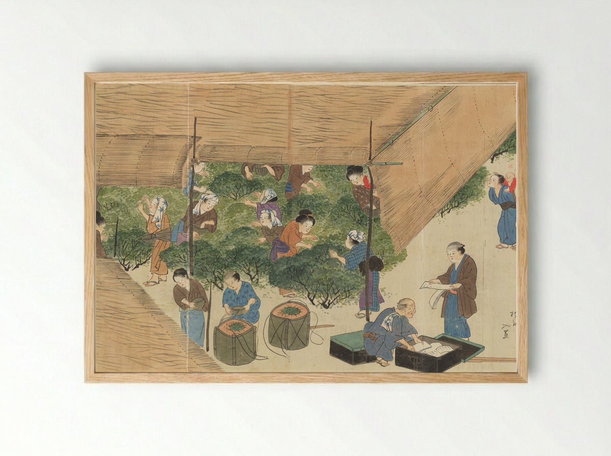 Illustrations of Uji Tea Production - Saitō Motonari - Framed Print Wood