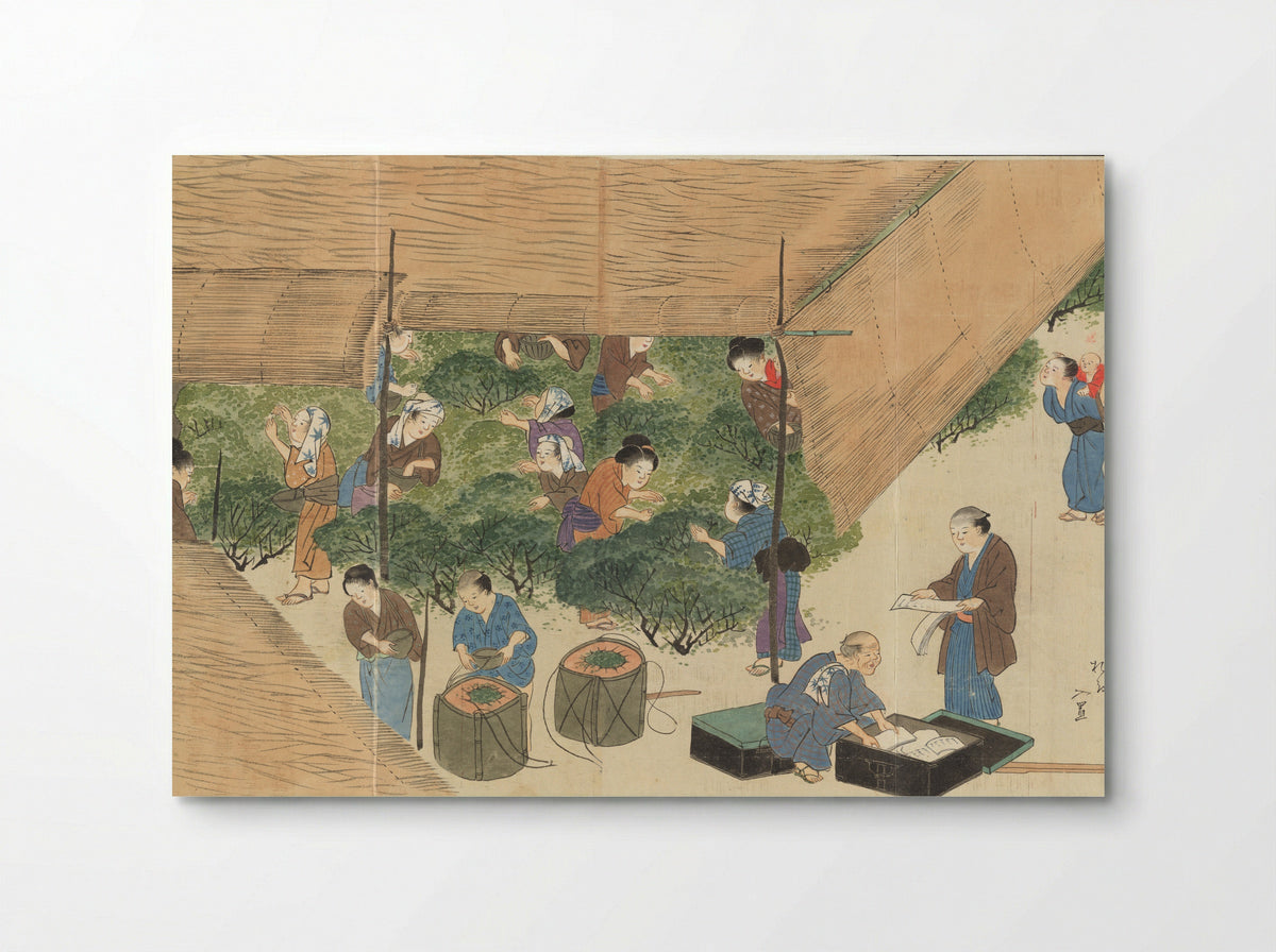 Illustrations of Uji Tea Production - Saitō Motonari - Poster