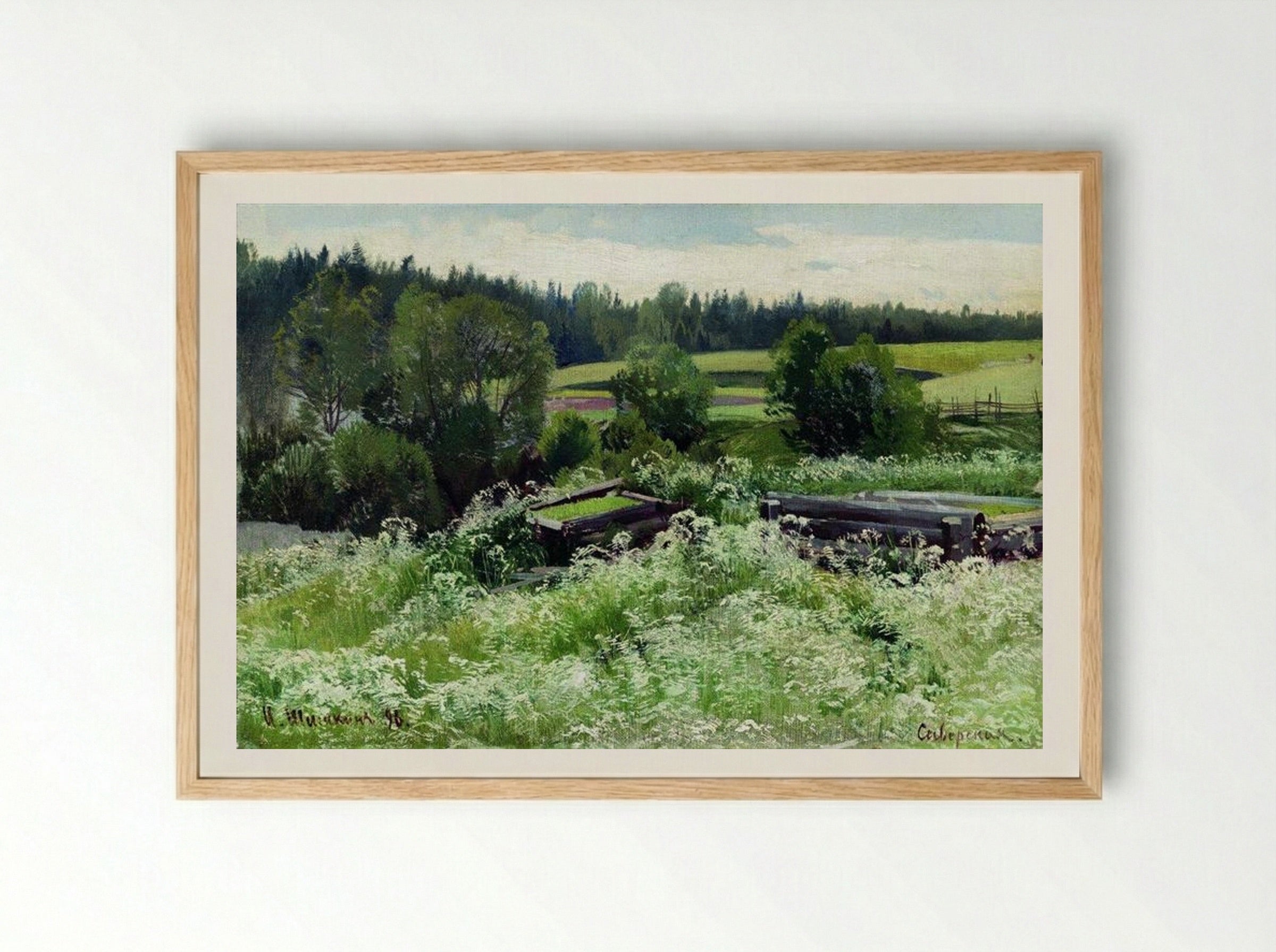 In Siverskaya - Ivan Shishkin - Framed Print Wood
