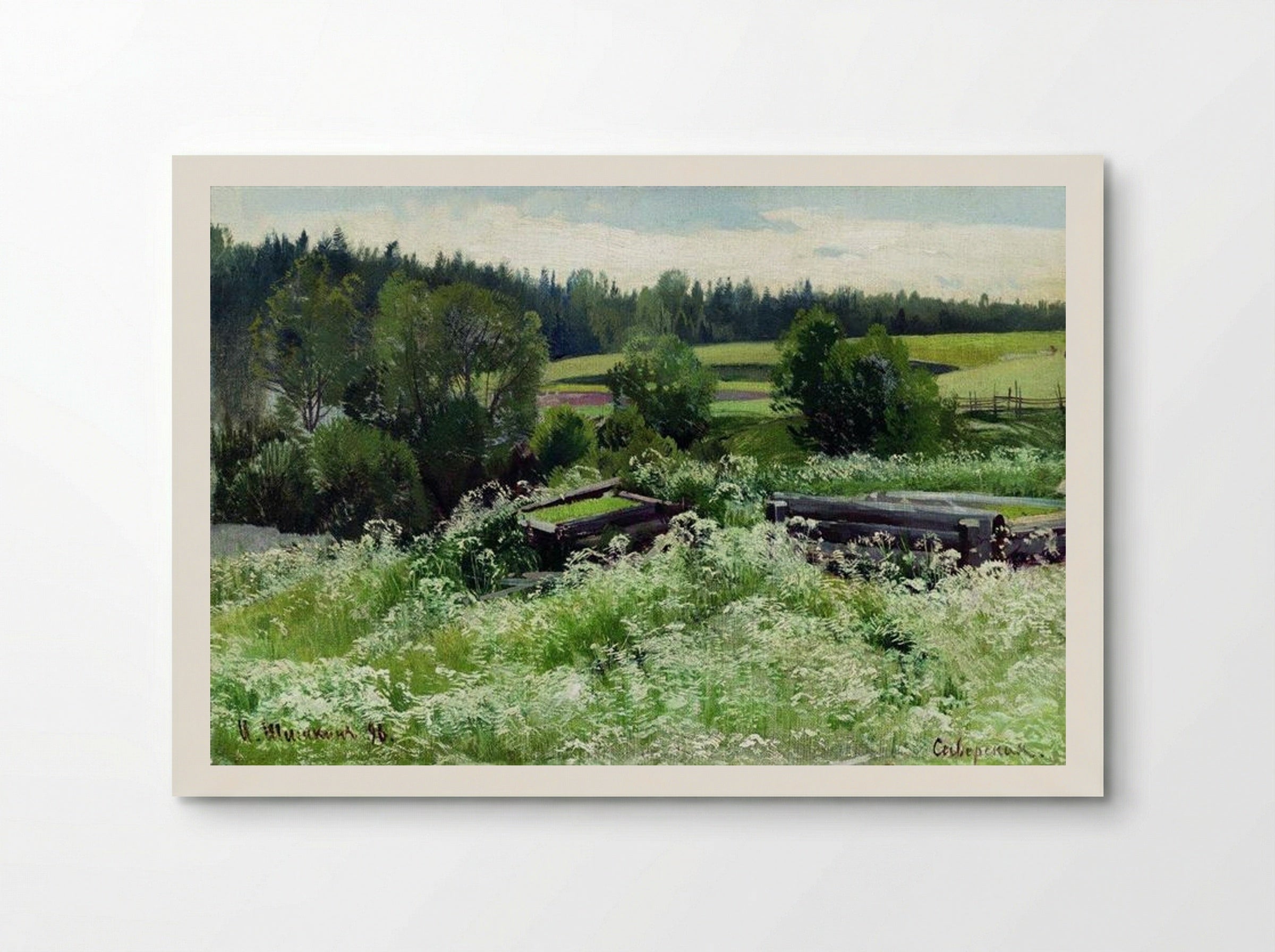 In Siverskaya - Ivan Shishkin - Poster