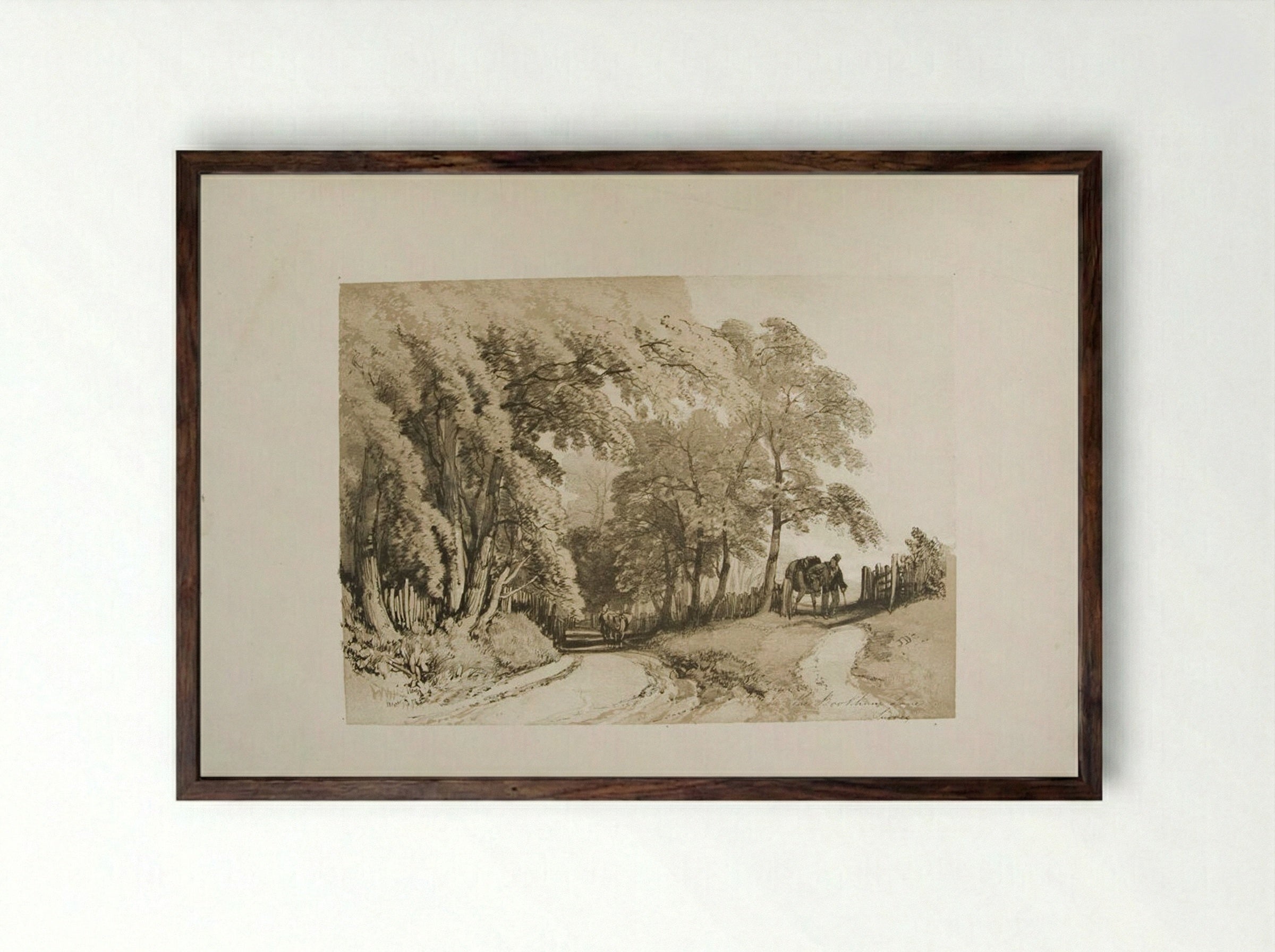 In the Bookham Lane, Surrey - James Duffield Harding - Framed Print Dark Wood