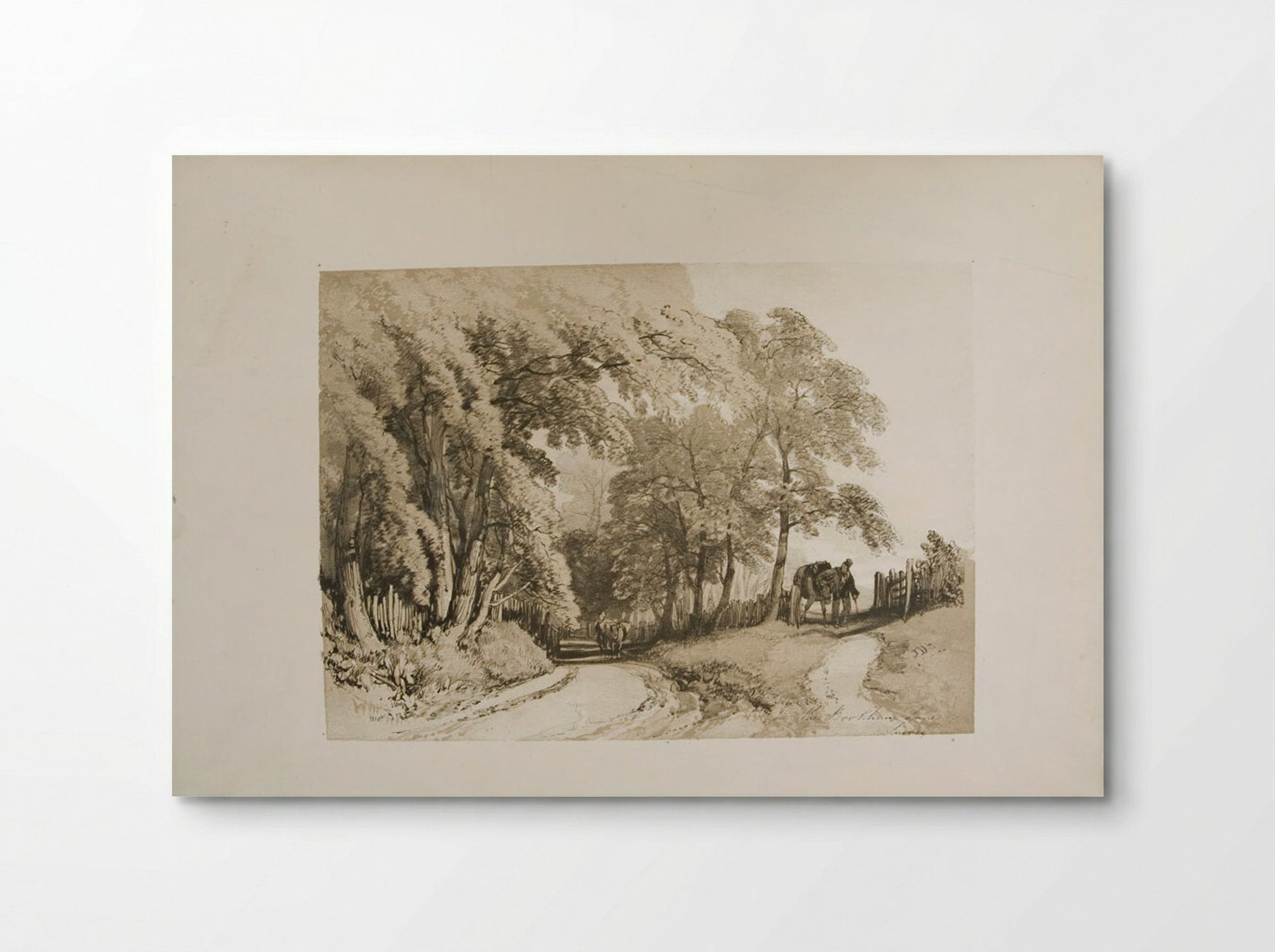 In the Bookham Lane, Surrey - James Duffield Harding - Poster