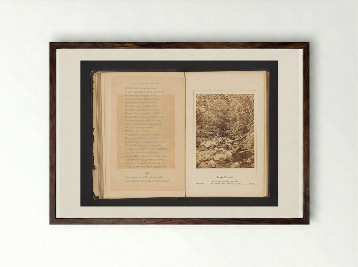 In the Trossachs - George Washington Wilson - Framed Print Dark Wood