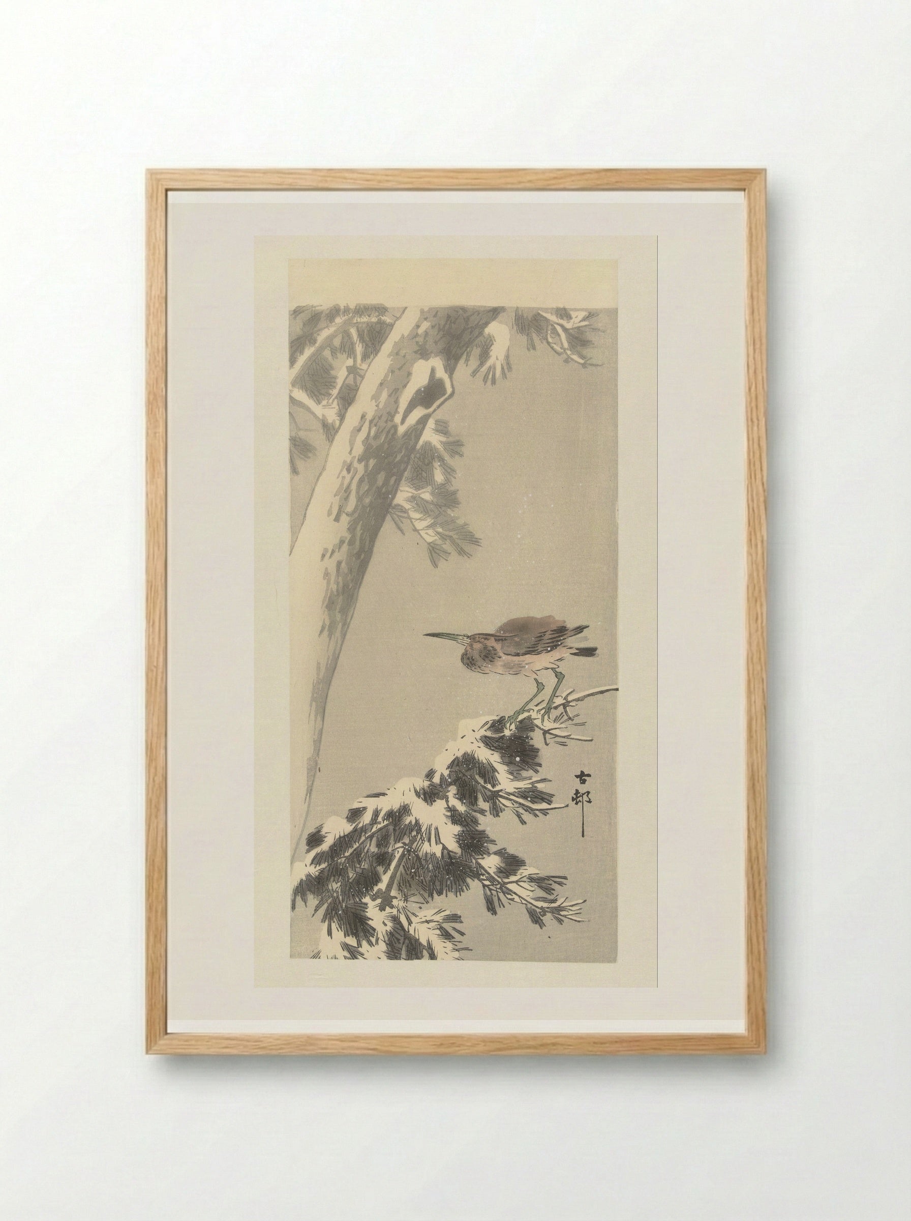 Indian Pond Heron on a Snowy Tree Branch - Matsuki Heikichi - Framed Print Wood