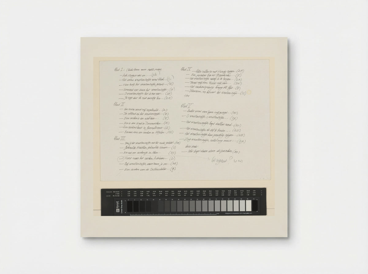 Inhoudsopgave - Peter Vos - Poster